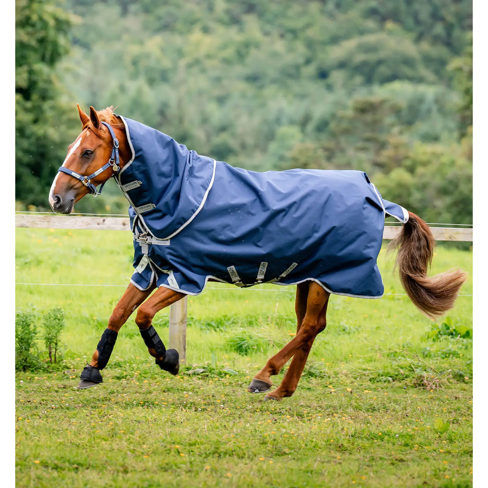 Coperta da paddock per cavalli con copricollo Horseware Amigo 1200D Plus Turnout 400g