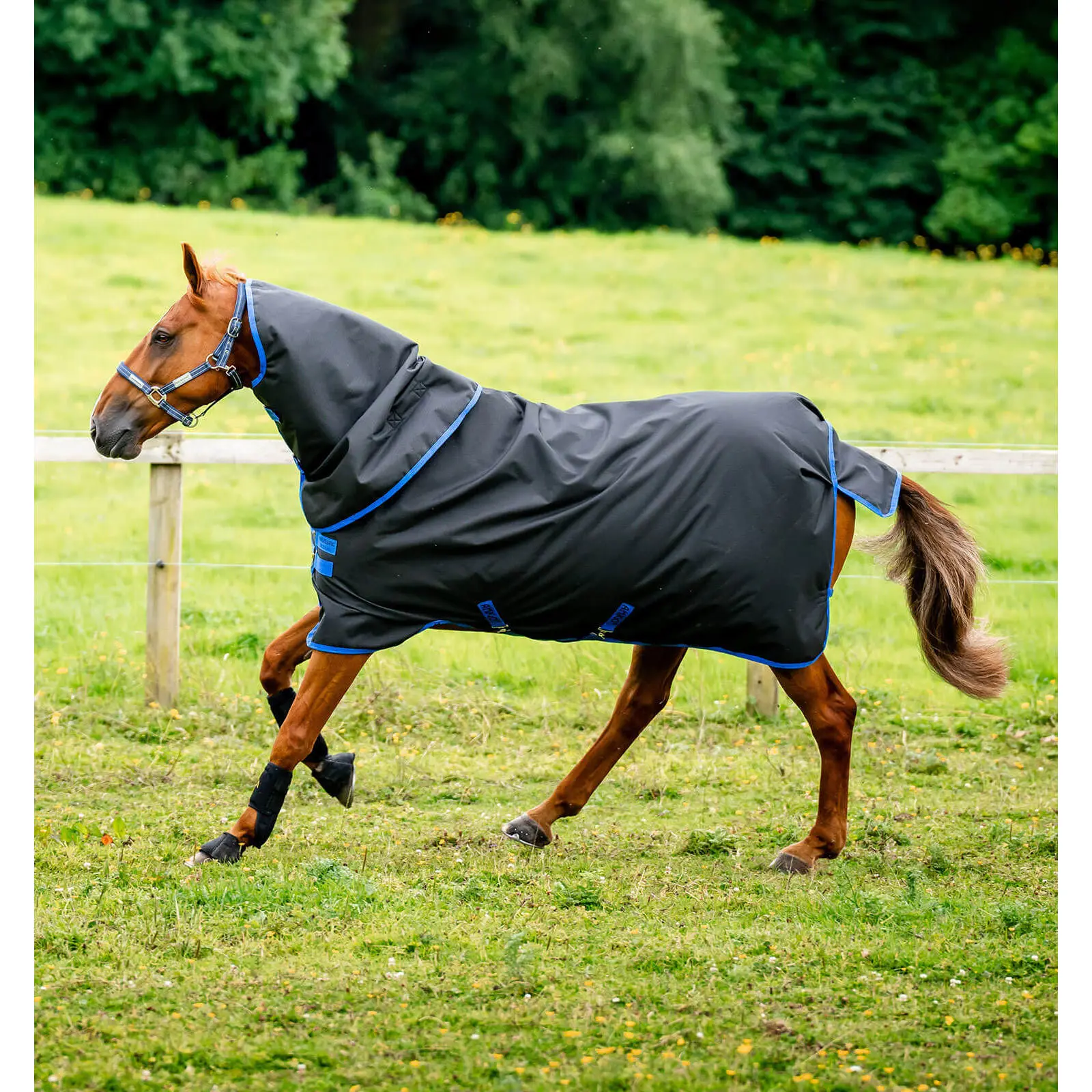 Coperta da paddock per cavalli con copricollo Horseware Amigo Ripstop 900D Plus Turnout 0g