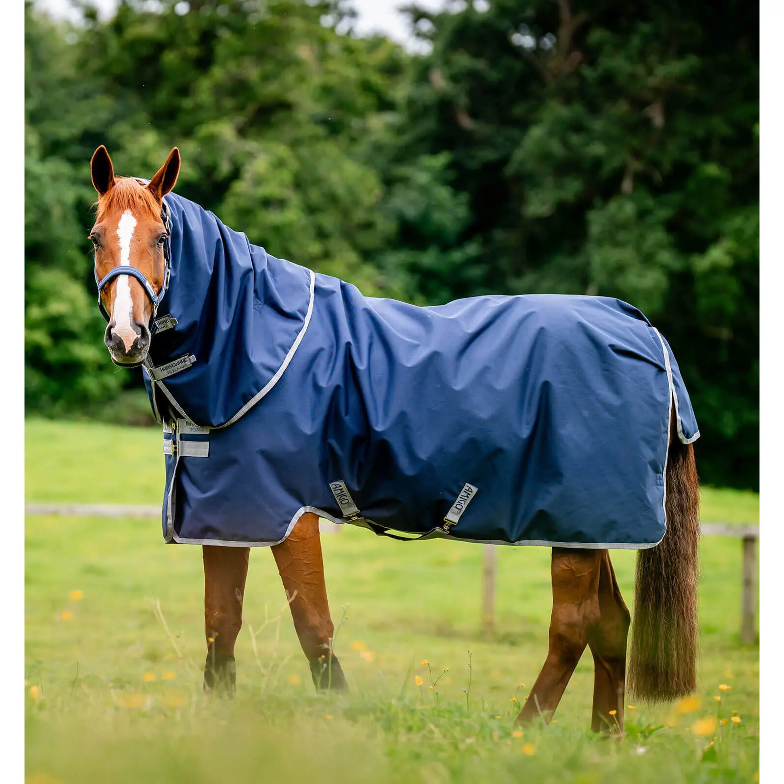 Coperta da paddock per cavalli con copricollo Horseware Amigo Ripstop 900D Plus Turnout 100g