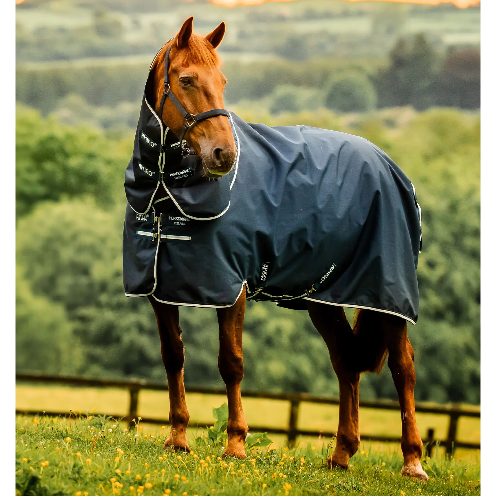 Coperta da paddock per cavalli Horseware Amigo Ripstop 900D Plus 100g