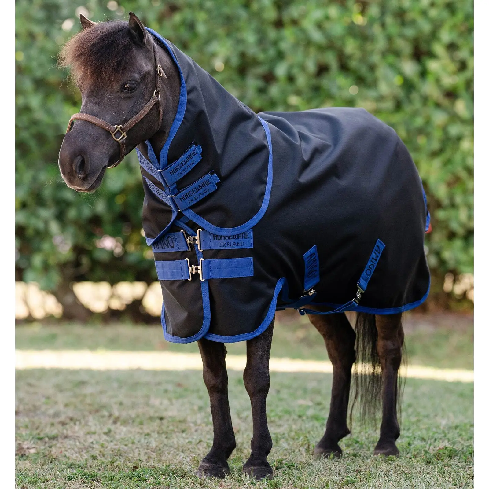 Coperta per pony da esterno Horseware Amigo Ripstop 900D Plus Turnout 0g