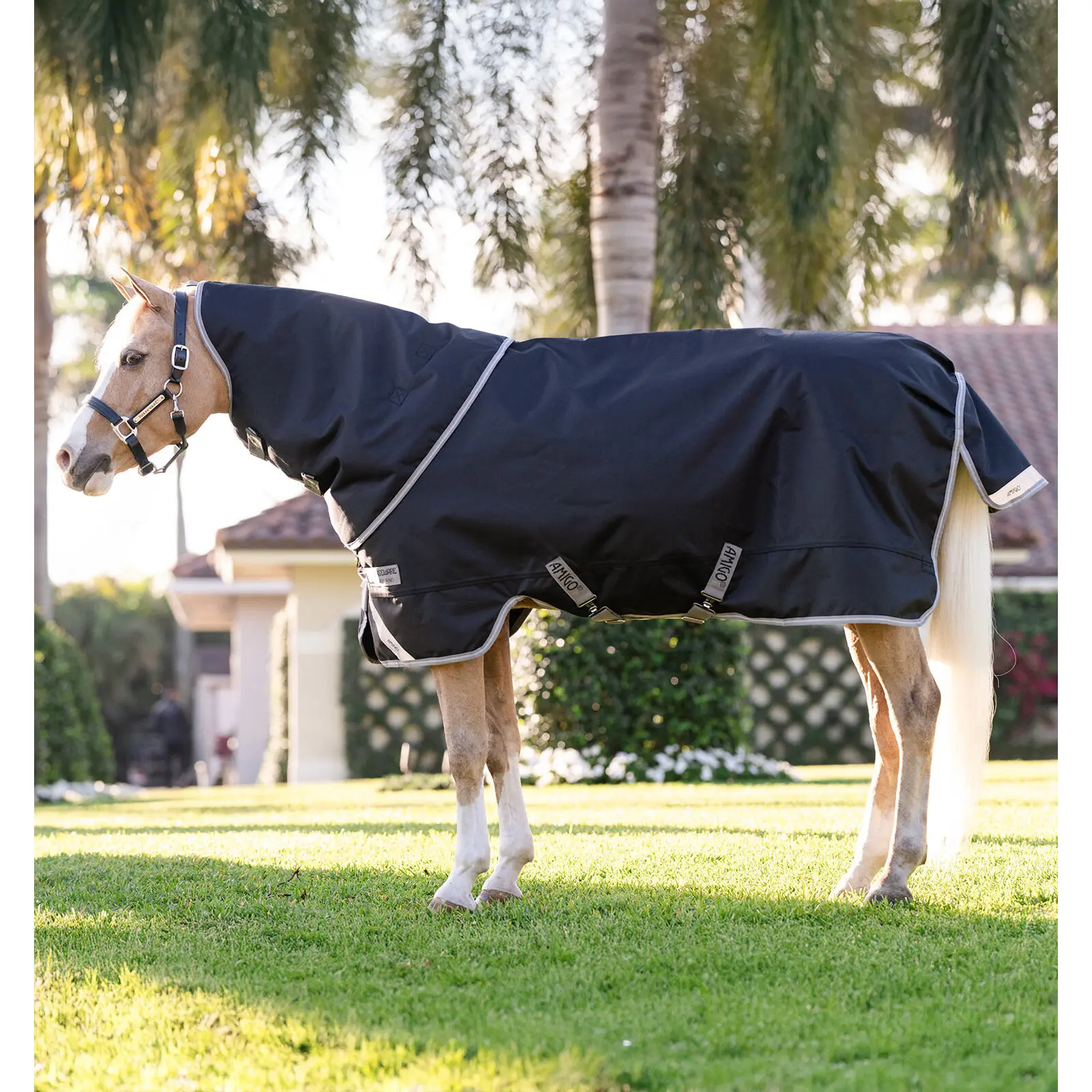 Coperta per pony da esterno con copricollo Horseware Amigo 1200D 250g