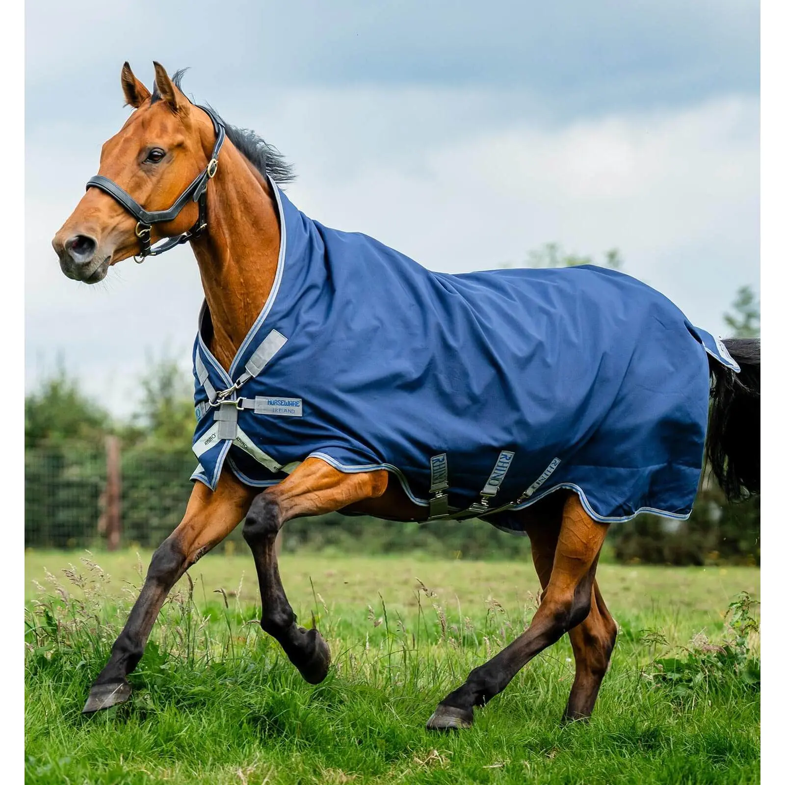 Coperta da paddock per cavalli Horseware Amigo 1200D Wug Turnout 250g