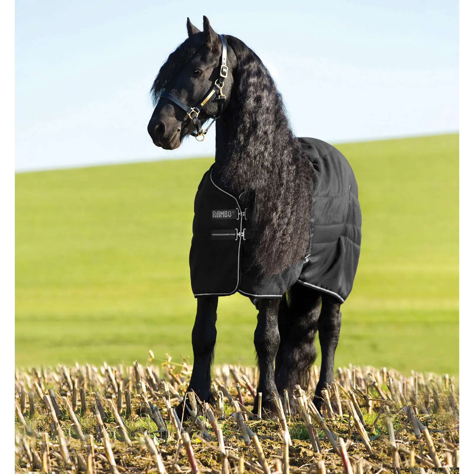 Coperta da stalla per cavallo Rambo 100g Horseware