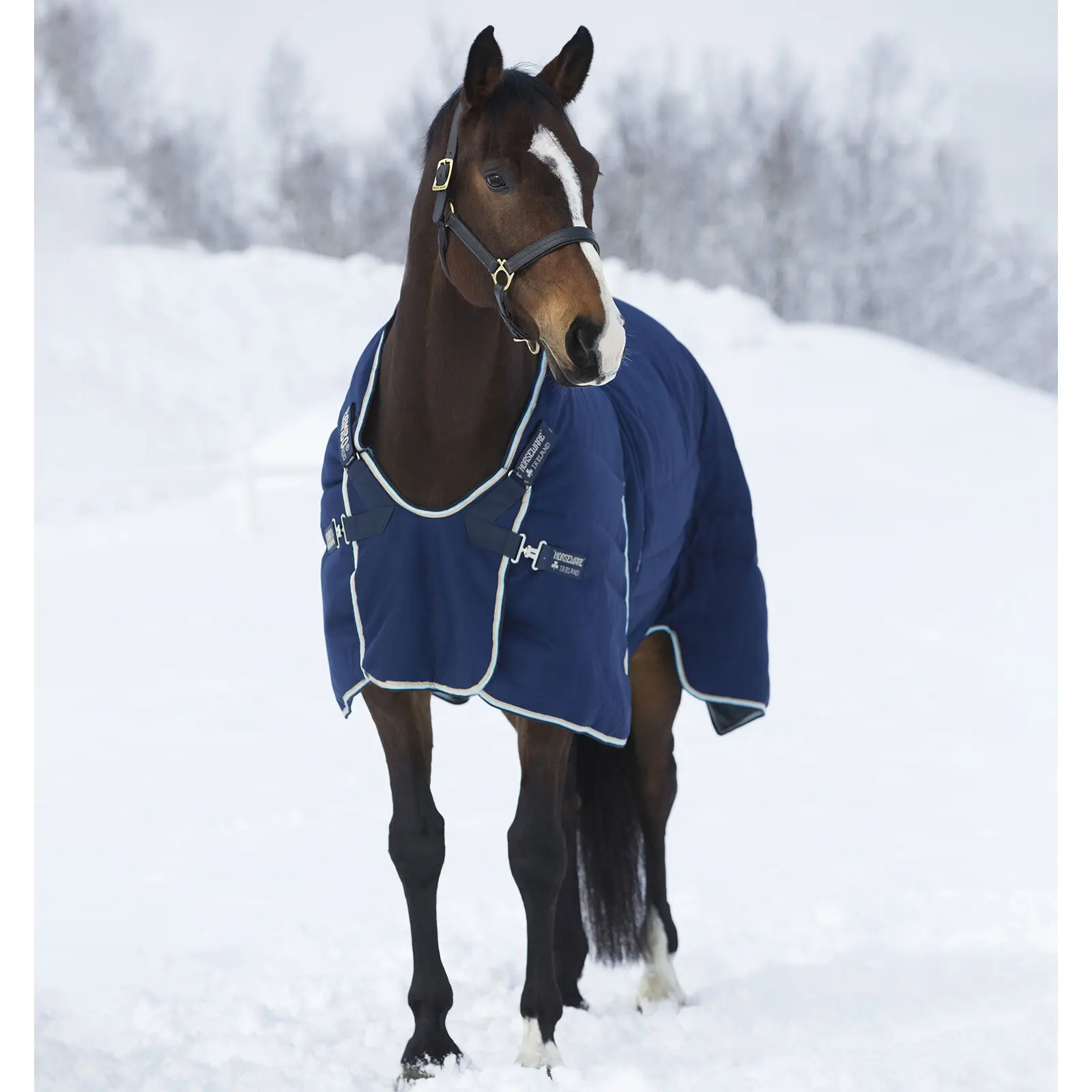Coperta da box per cavalli Horseware Rambo Optimo 200g