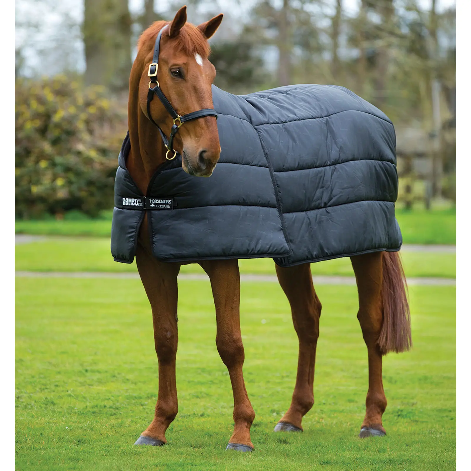 Coperta da box per cavalli Horseware Rambo Optimo Liner 300g
