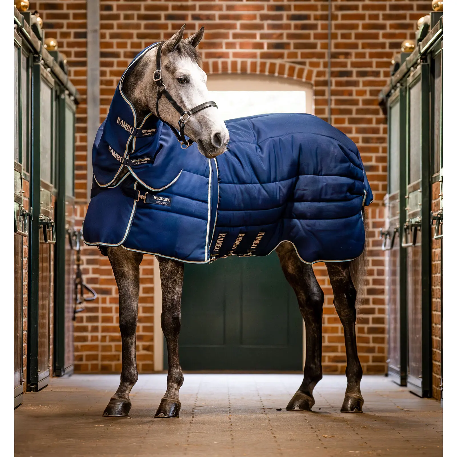 Coperta da box per cavalli Horseware Rambo Optimo Plus 400g