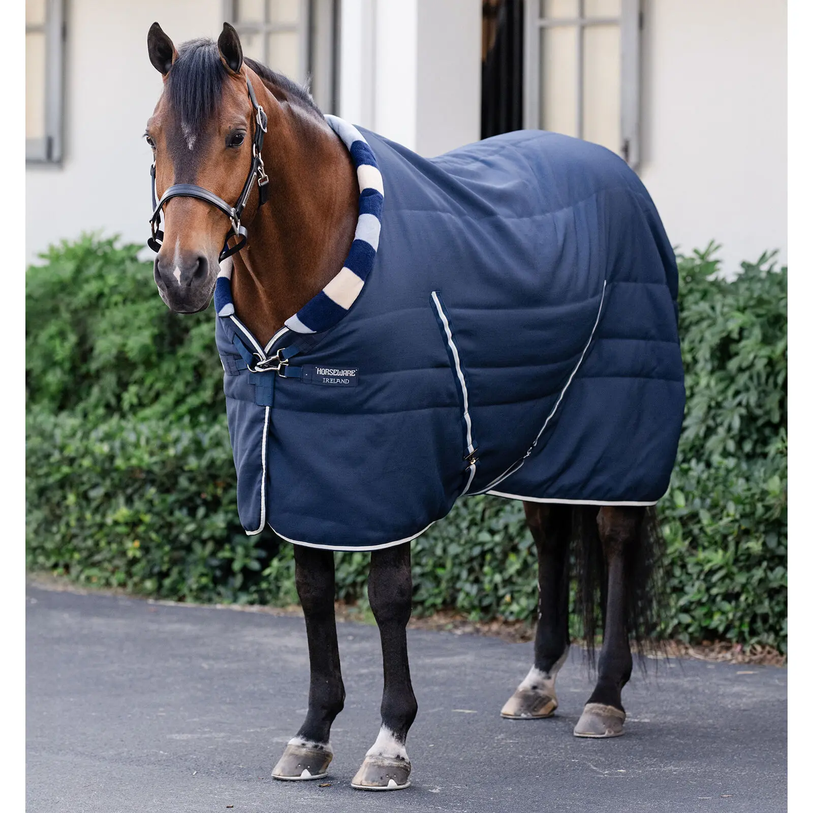 Coperta da box per cavalli Horseware Newmarket 100g