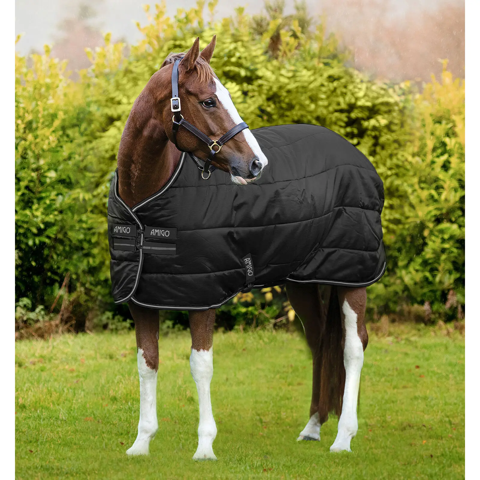 Coperta da stalla per cavalli Horseware Amigo Diamond 200g