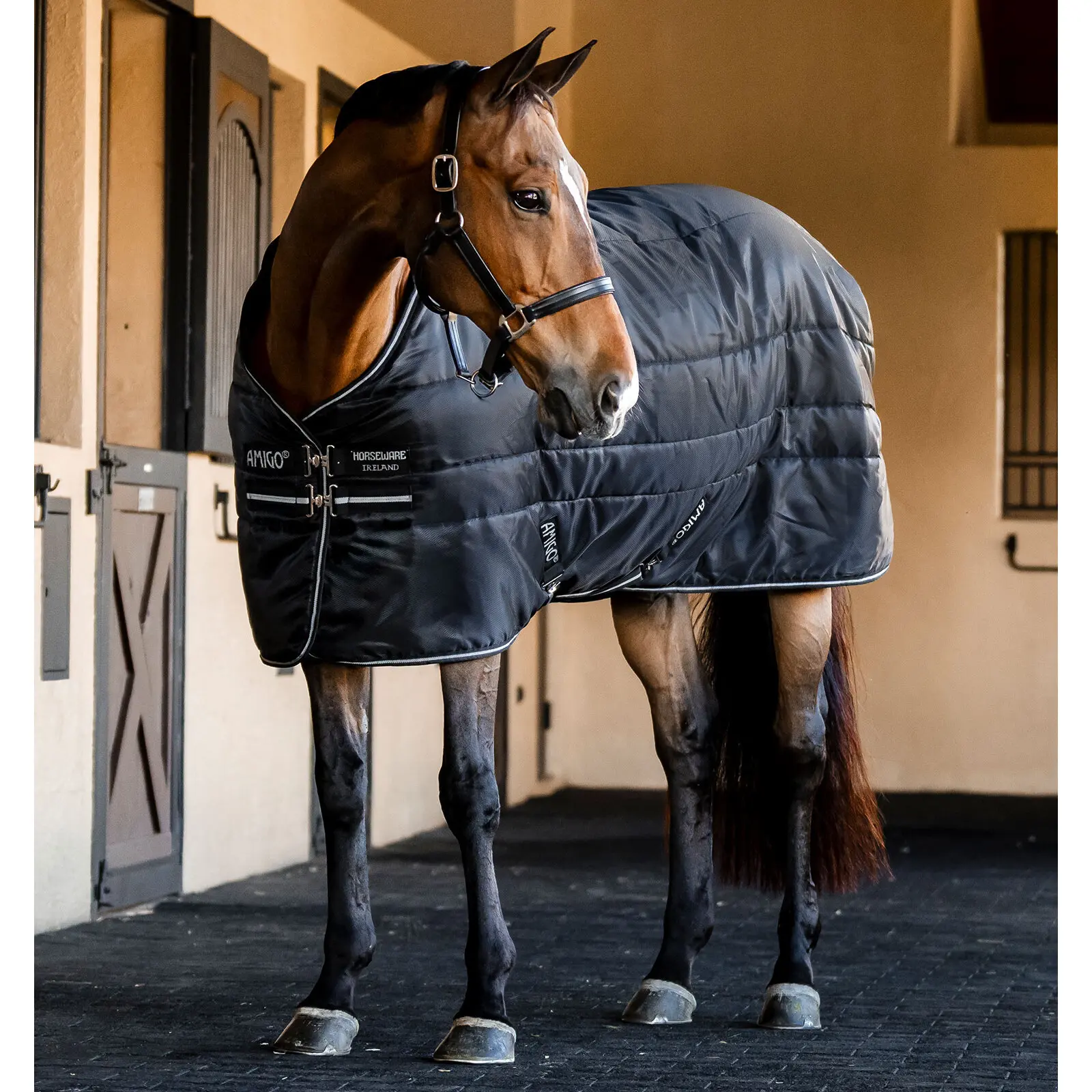 Coperta per cavalli isolante per stalla Horseware Amigo Ripstop Plus Stable 200g