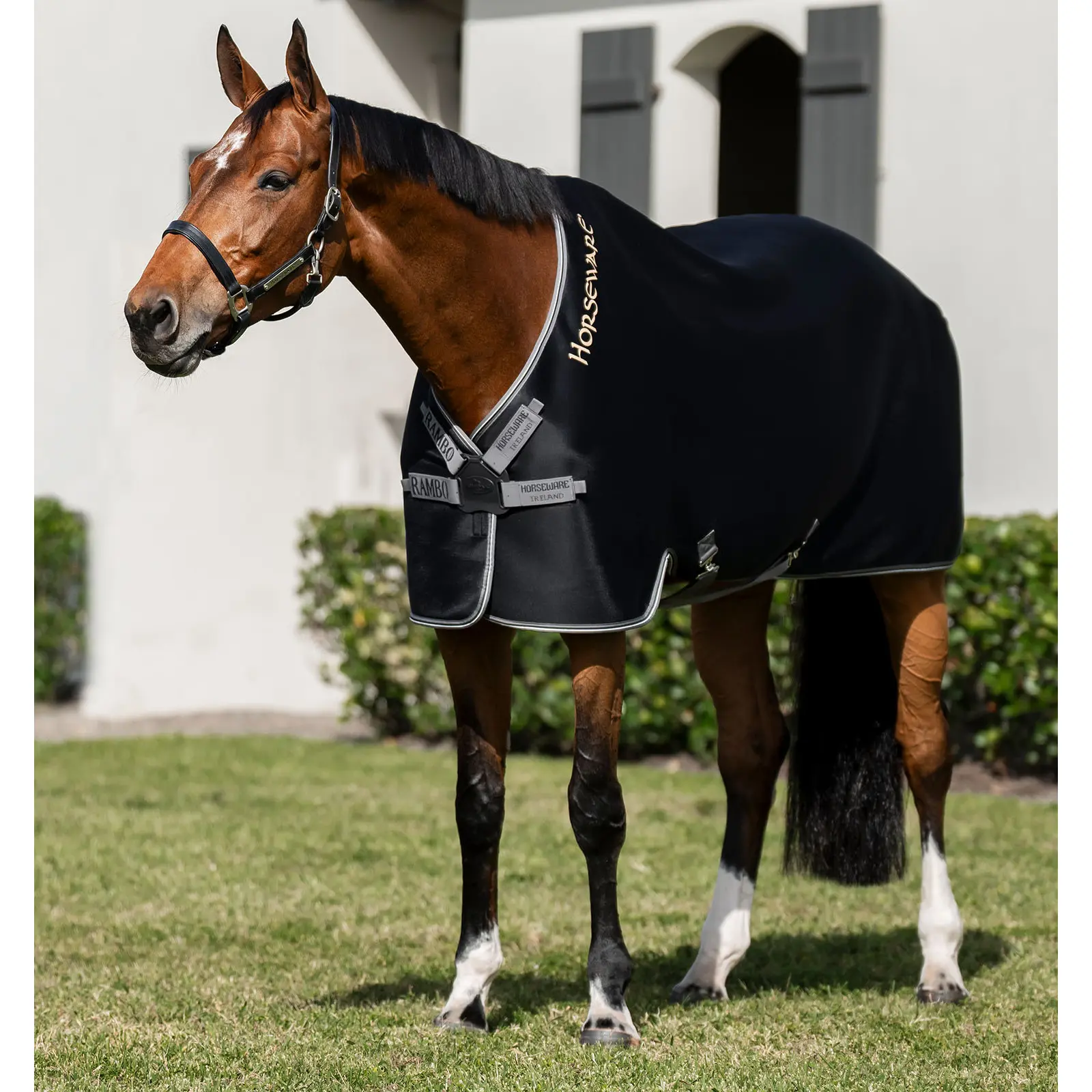 Outdoor-Decke für Pferde Horseware Rambo Airmax