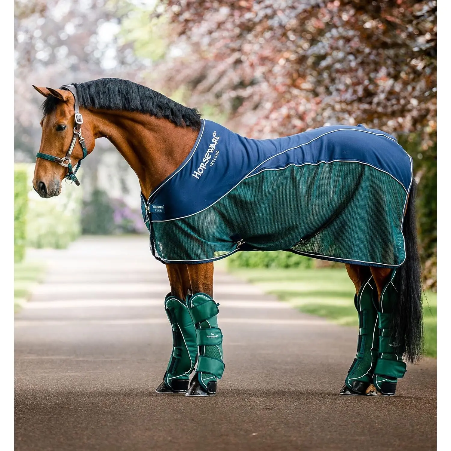 Coperta di asciugatura per cavalli per cavalli Horseware Signature 0g