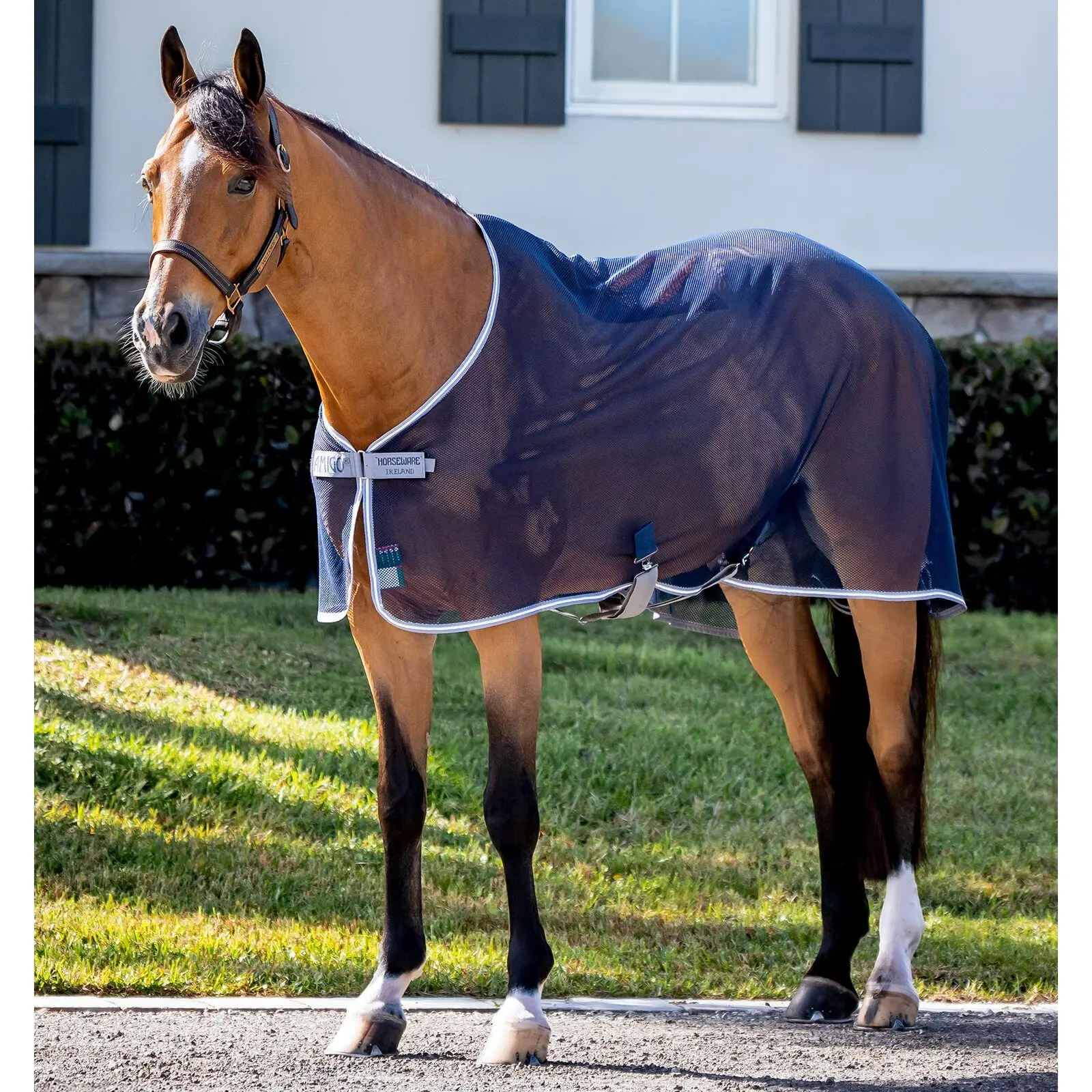 Outdoor-Decke für Pferde Horseware Amigo Net Cooler