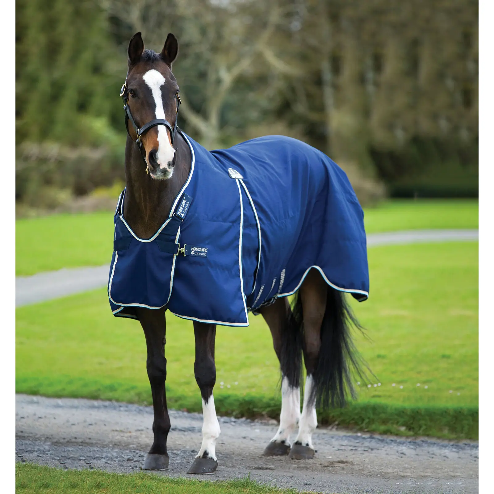 Coperta da box per cavalli Horseware Rambo Optimo Sheet 0g