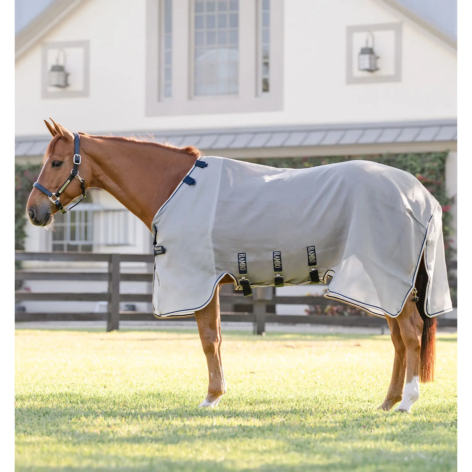 Fly Blanket Horseware Rambo Fieldsafe