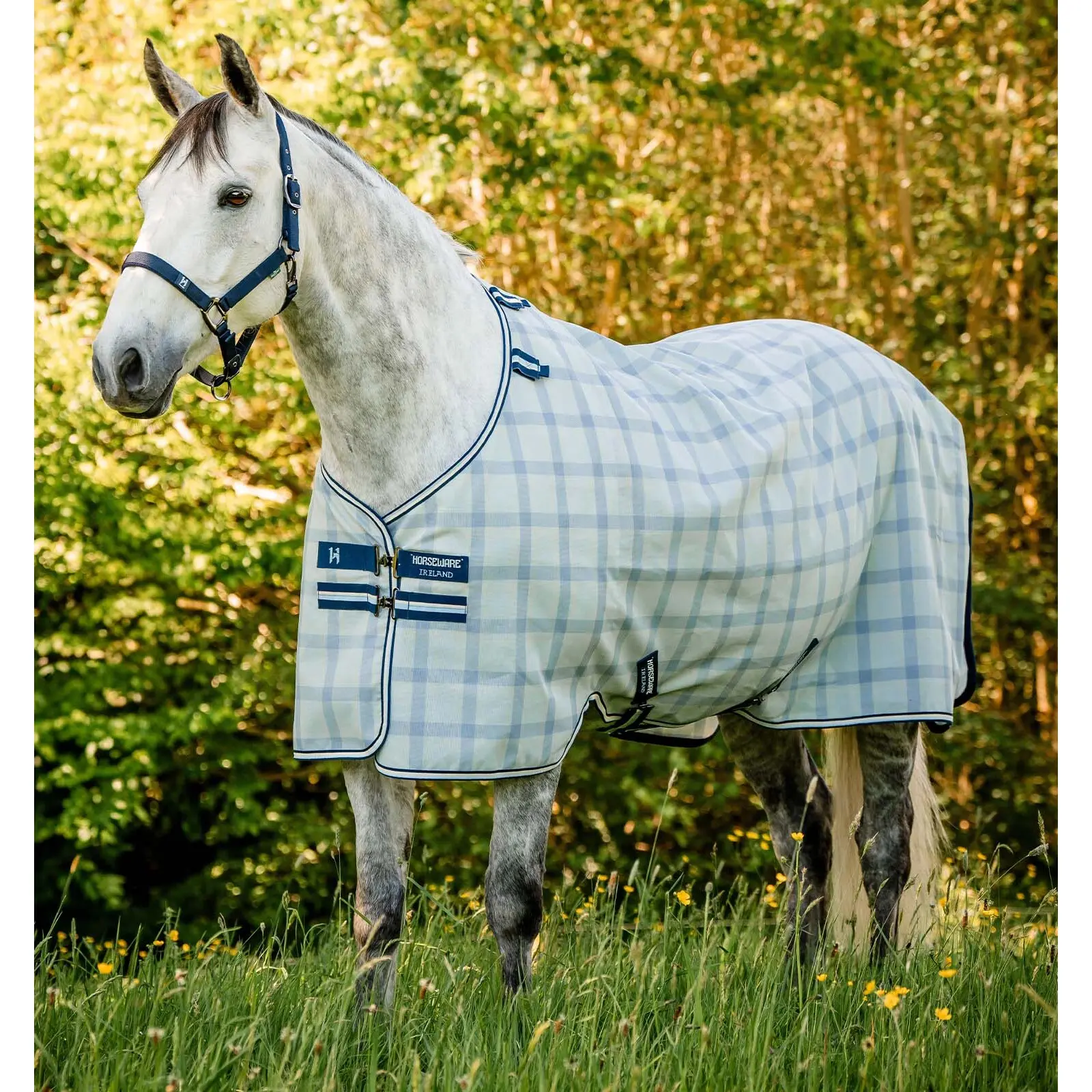 Fly sheet for ponies Horseware Newmarket