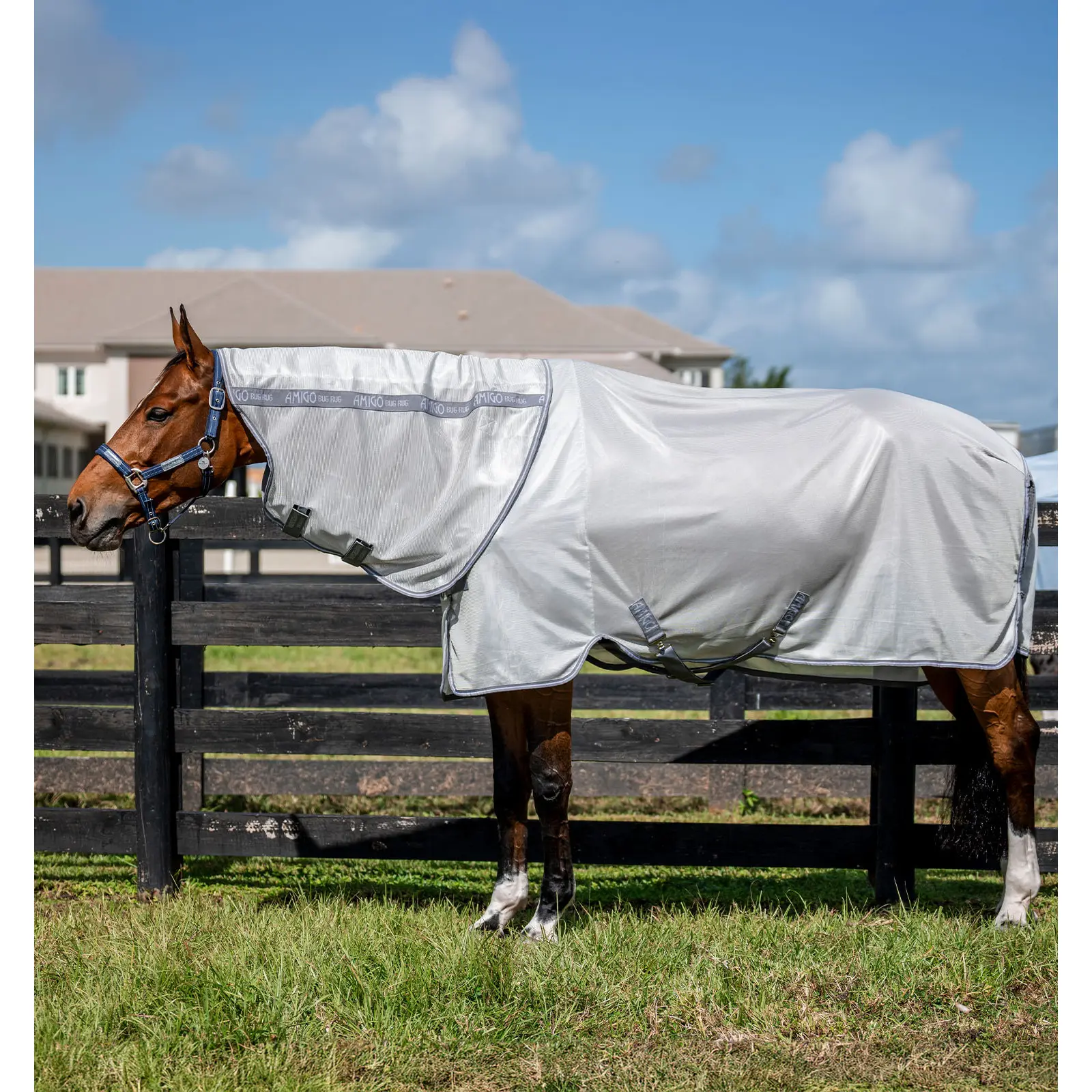 Coprimosche per cavalli Horseware Amigo Bug Plus