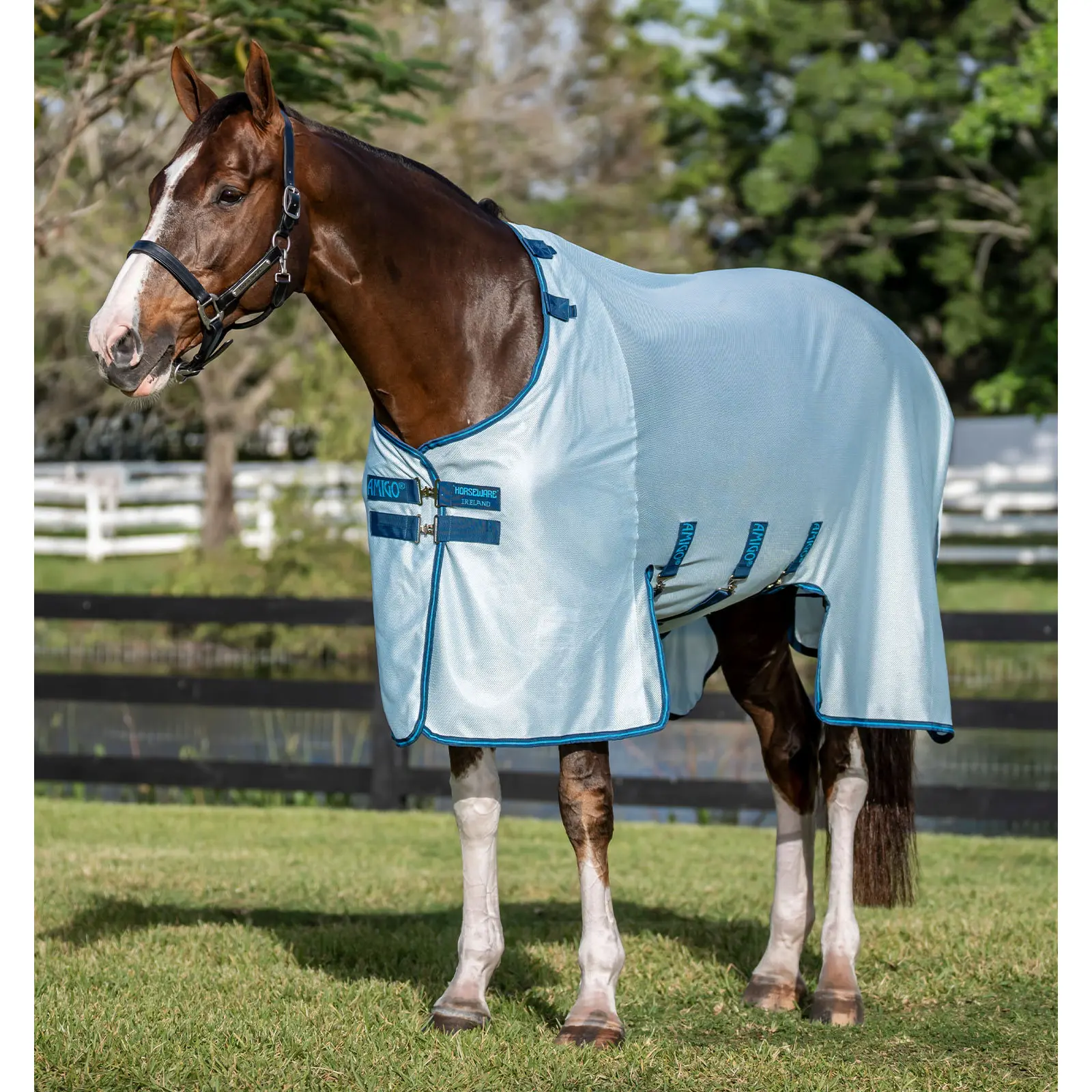 Coperta anti-mosche per cavalli Horseware Amigo Bug Buster