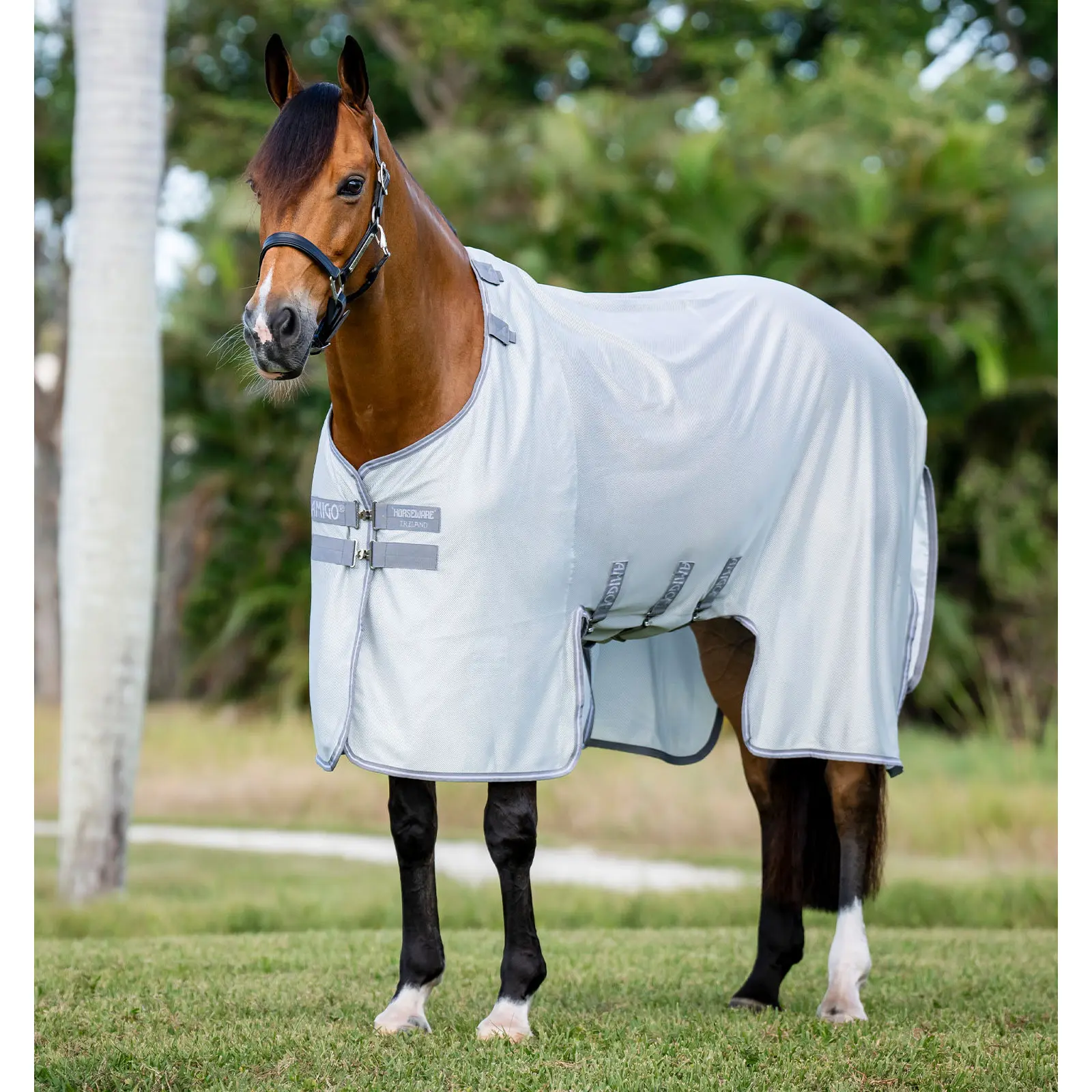 Coperta anti-mosche per cavalli Horseware Amigo Bug Buster