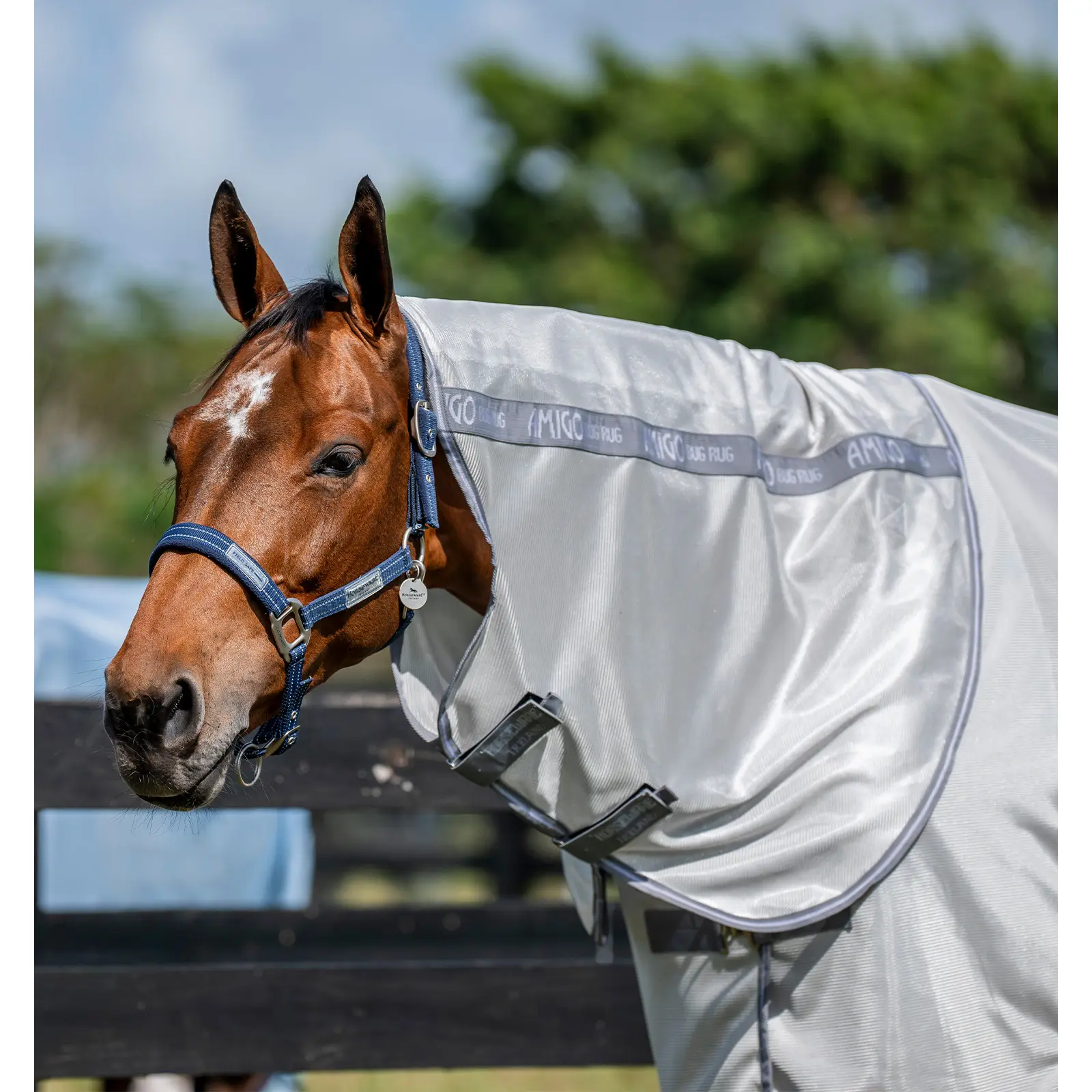 Halsdecke für Pferde Horseware Amigo Bug