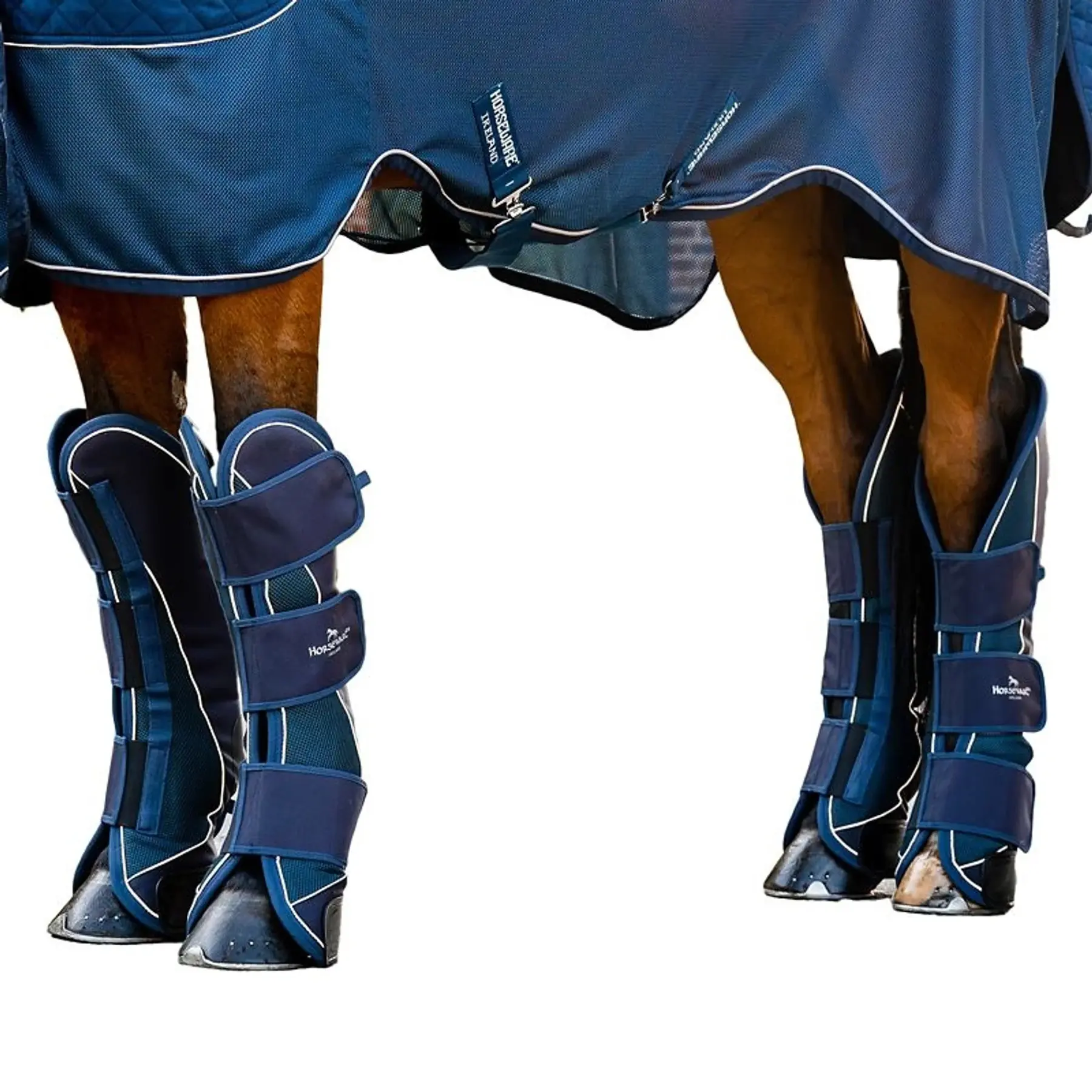 Ghette da trasporto per cavalli Horseware Signature