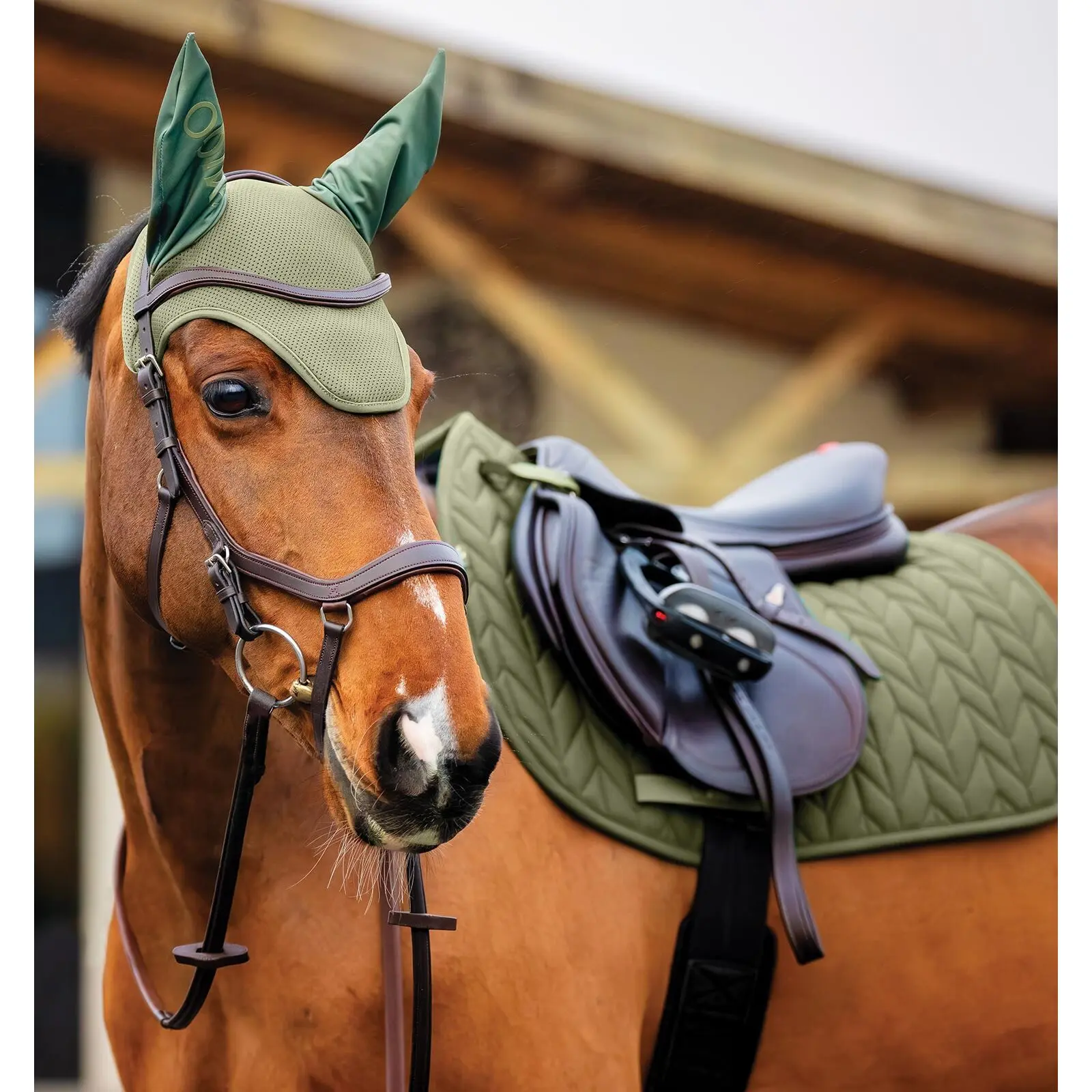 Fly mask Horseware Amigo Earnet