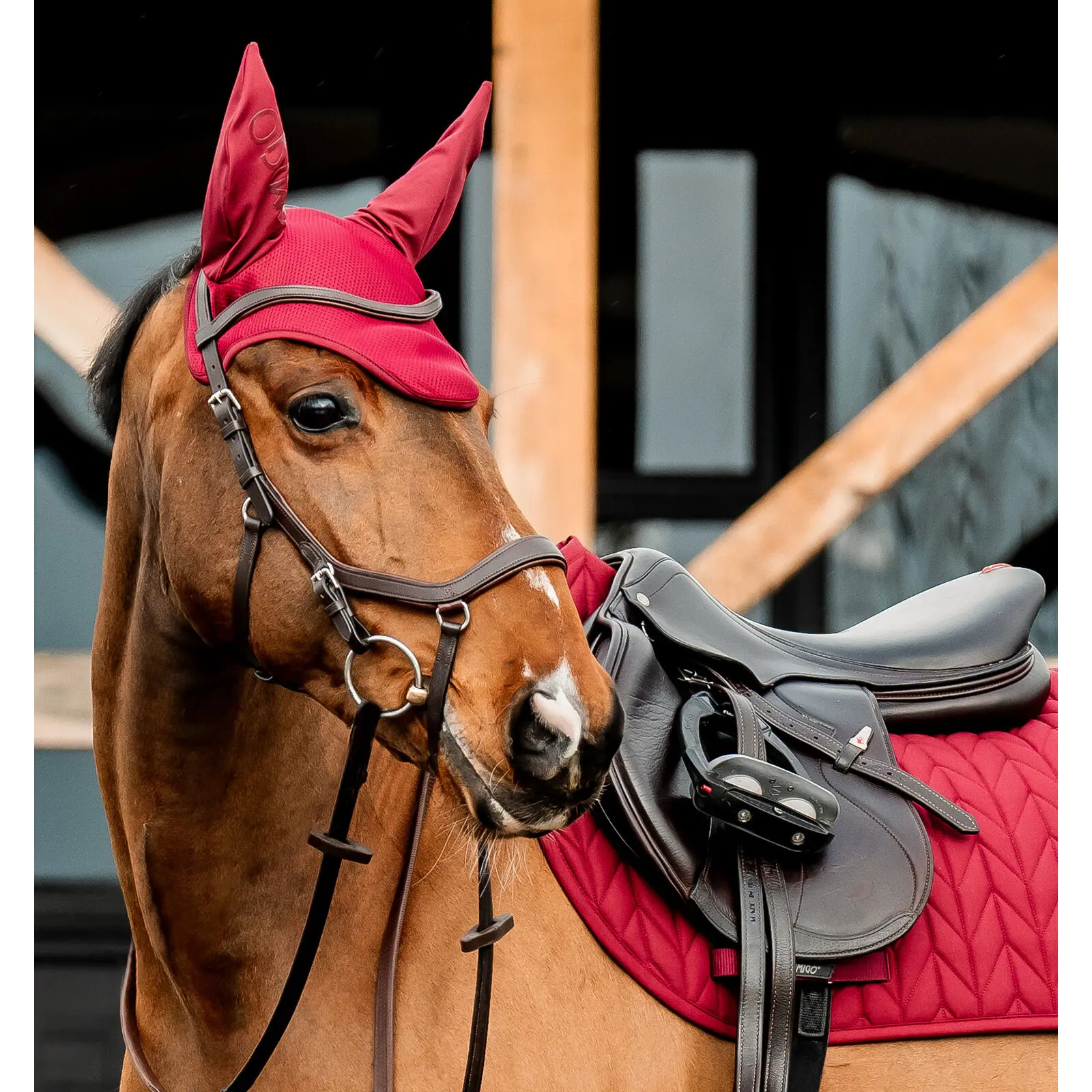 Maschera antimosche Horseware Amigo Earnet
