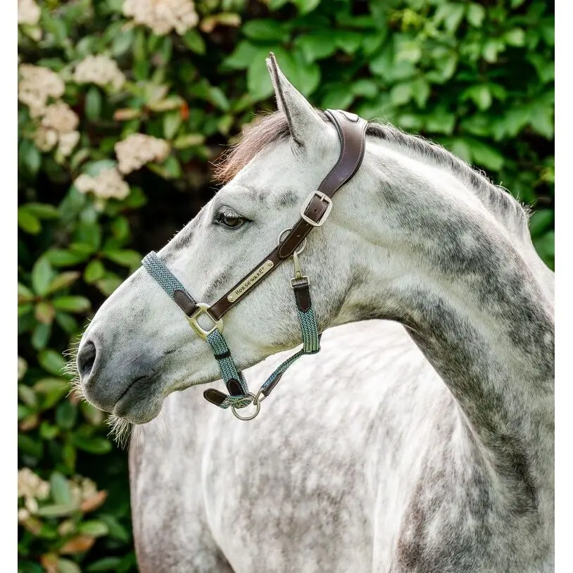 Lederhalfter für Pferde Horseware Signature