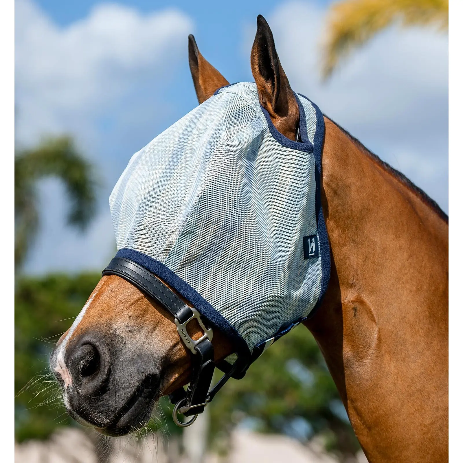 Maschera antimosche senza orecchie Horseware Newmarket