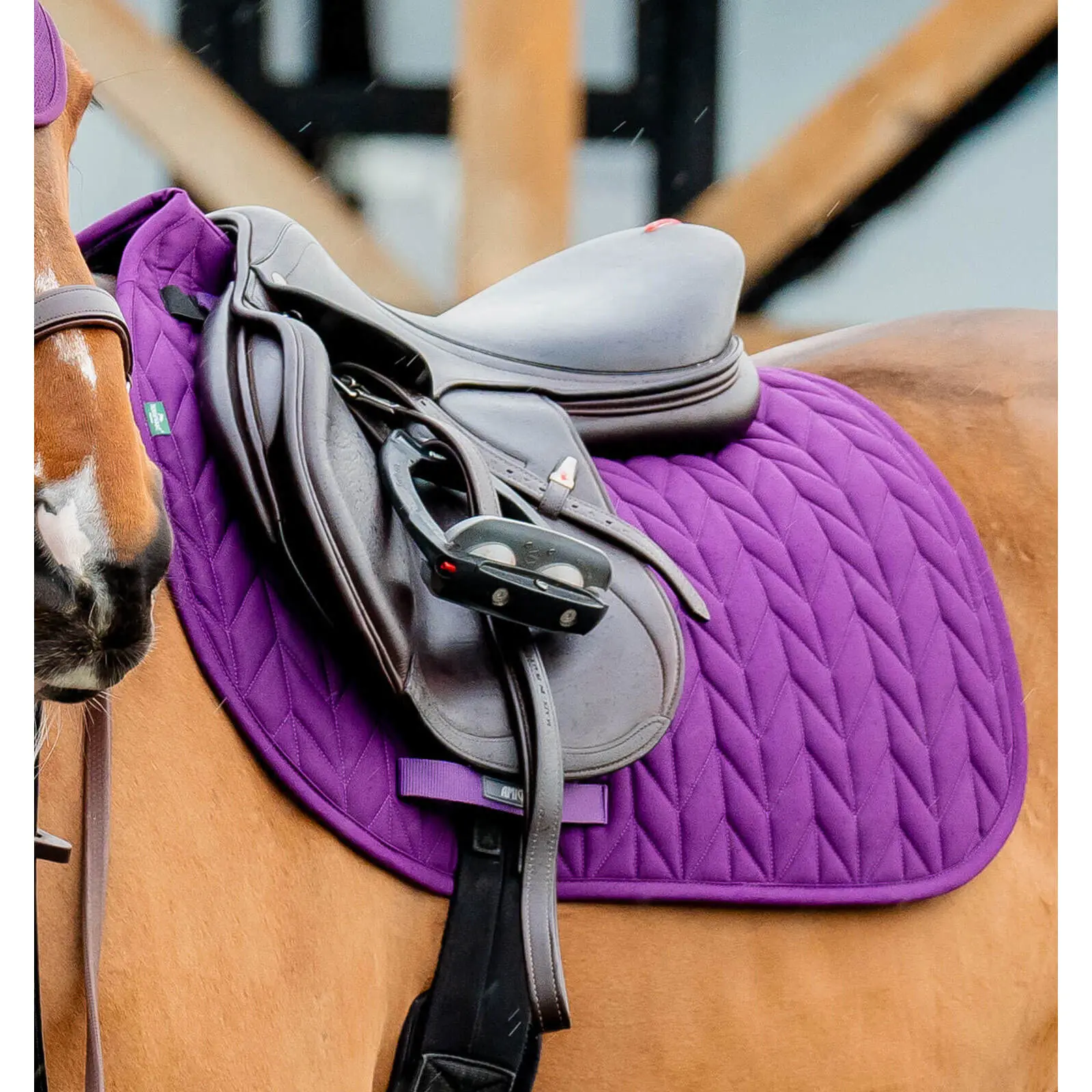 Sottosella Horseware Amigo Close Contact