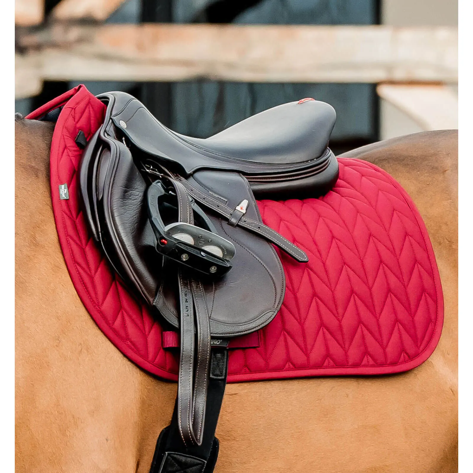 Sottosella Horseware Amigo Close Contact