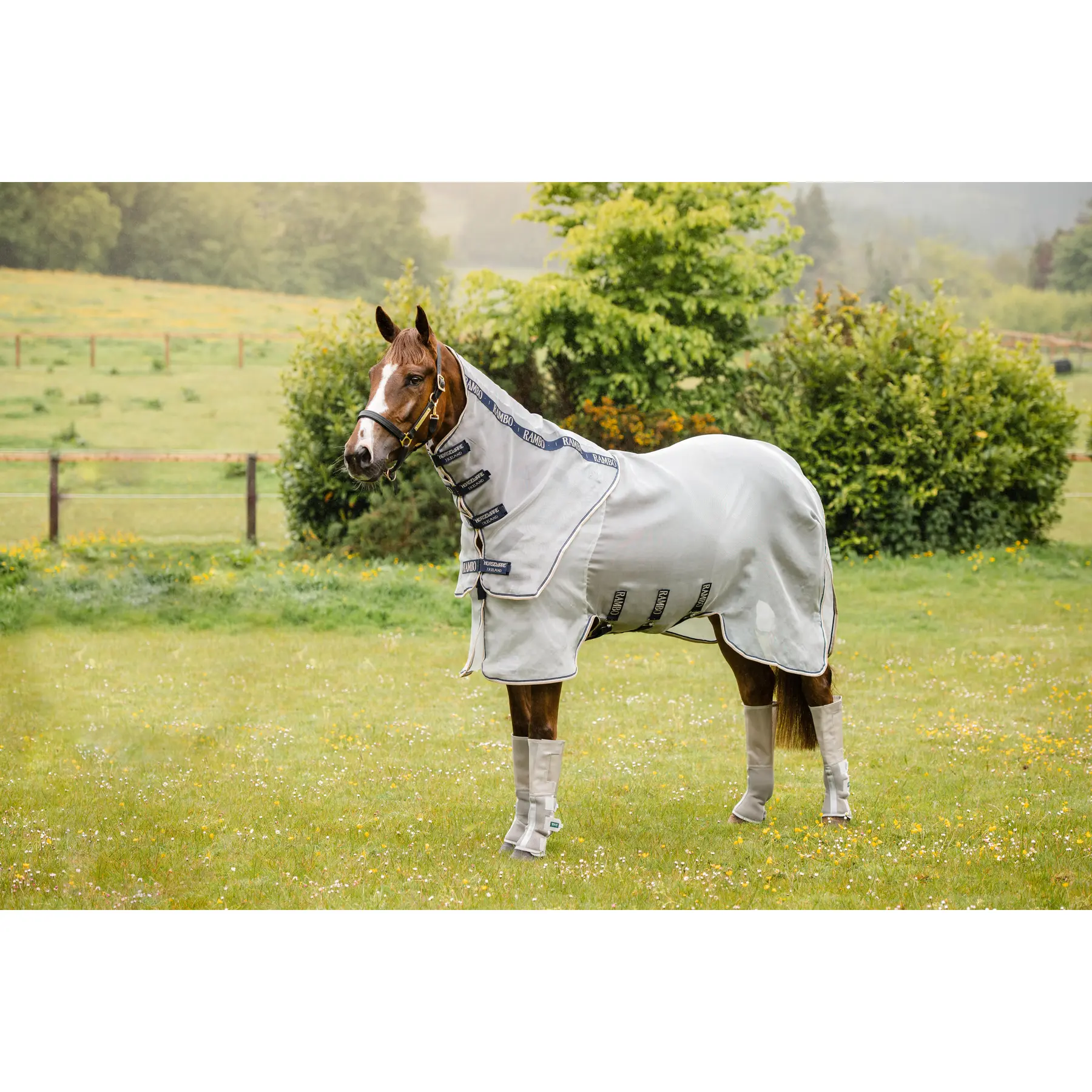 Coperta per cavalli Horseware Rambo