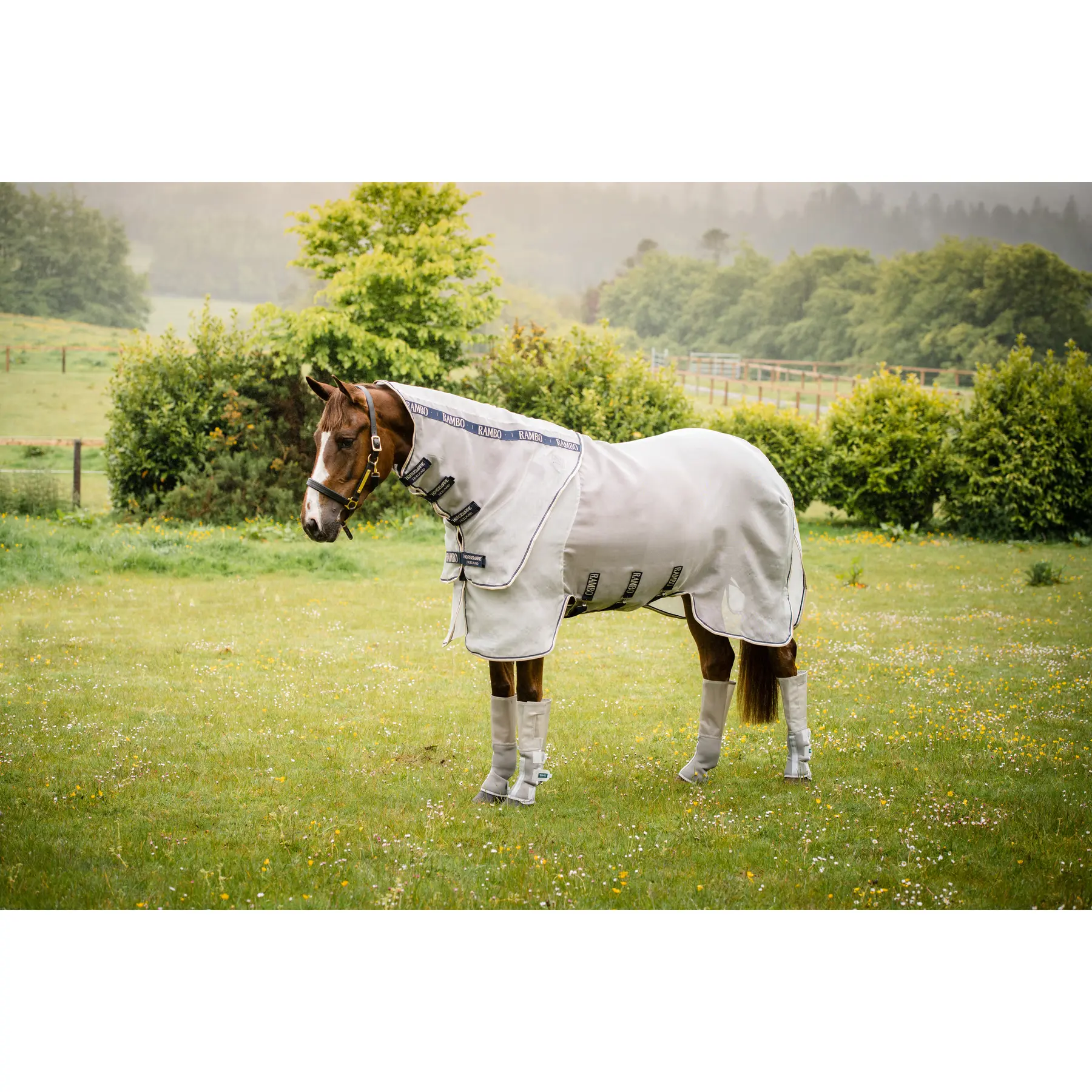 Coperta anti-insetti per cavallo Rambo Protector Horseware