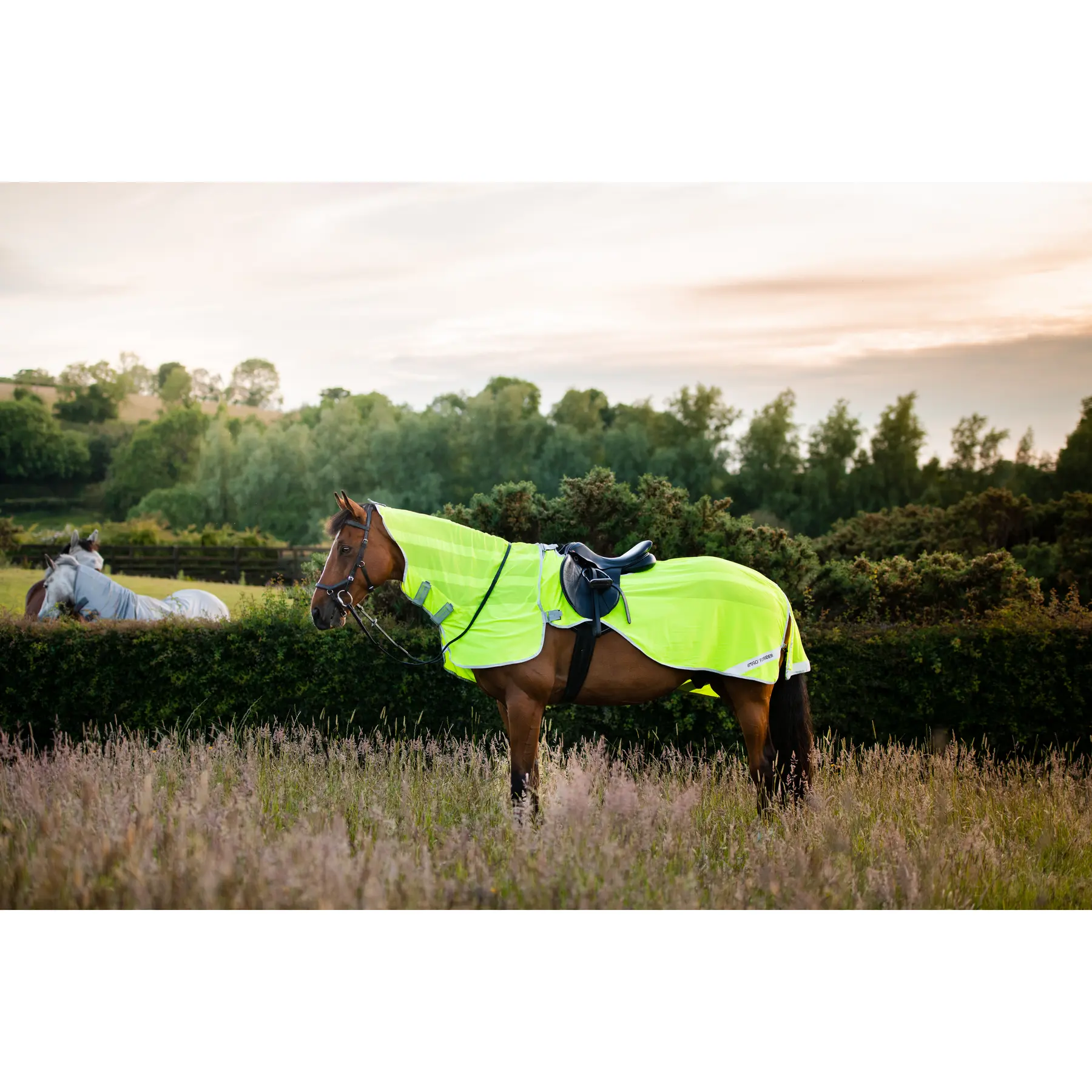 Reflective horse blanket Horseware Amigo Flyrider