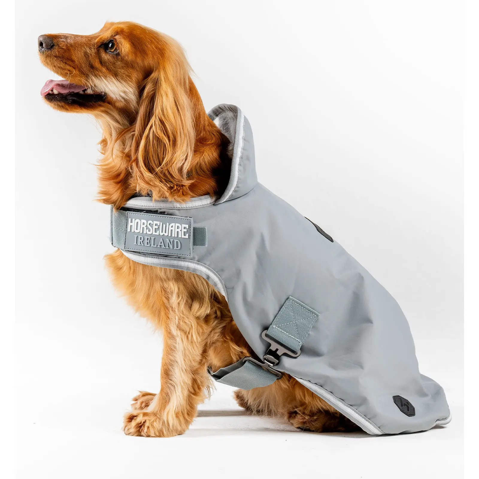 Hundemantel Horseware Newmarket