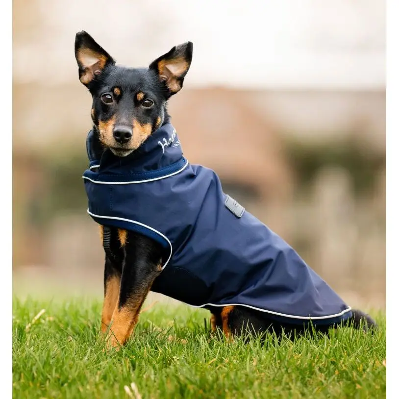 Regenmantel für Hunde Horseware Signature