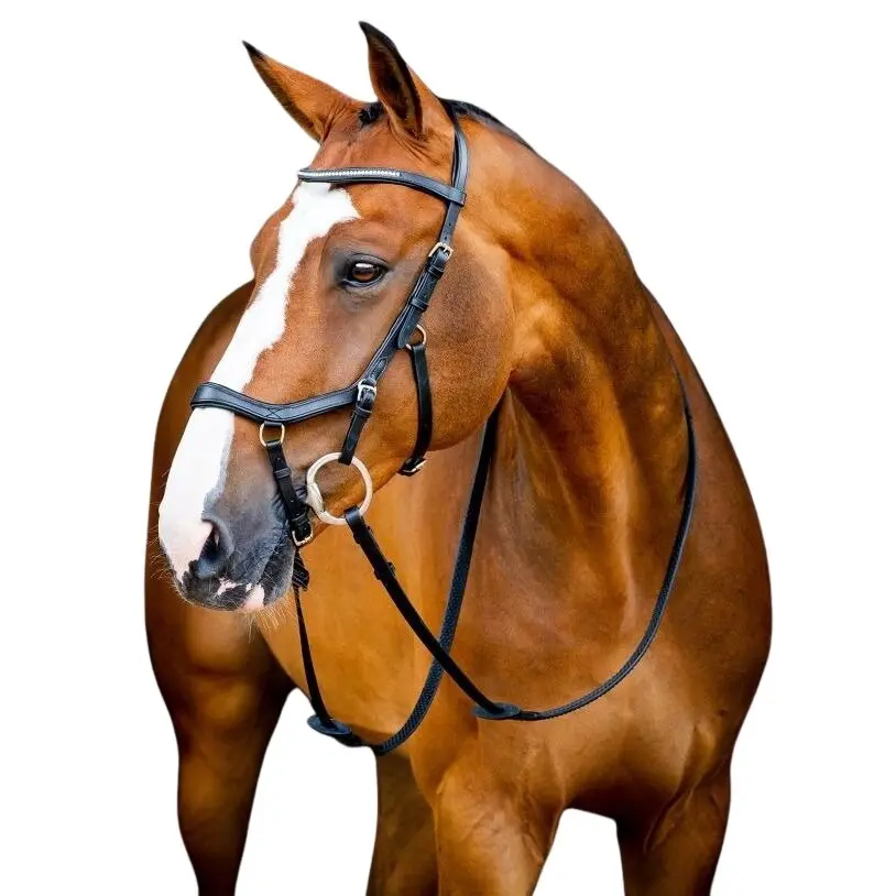 Bridles Horseware Micklem 2 Diamante