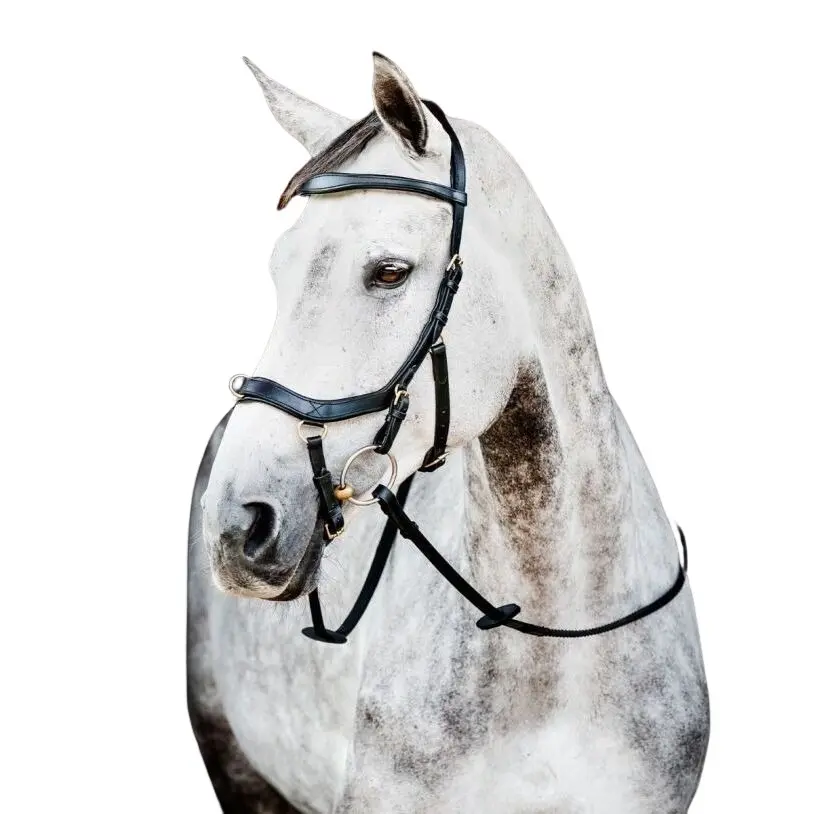 Bridons équitation Horseware Micklem 2