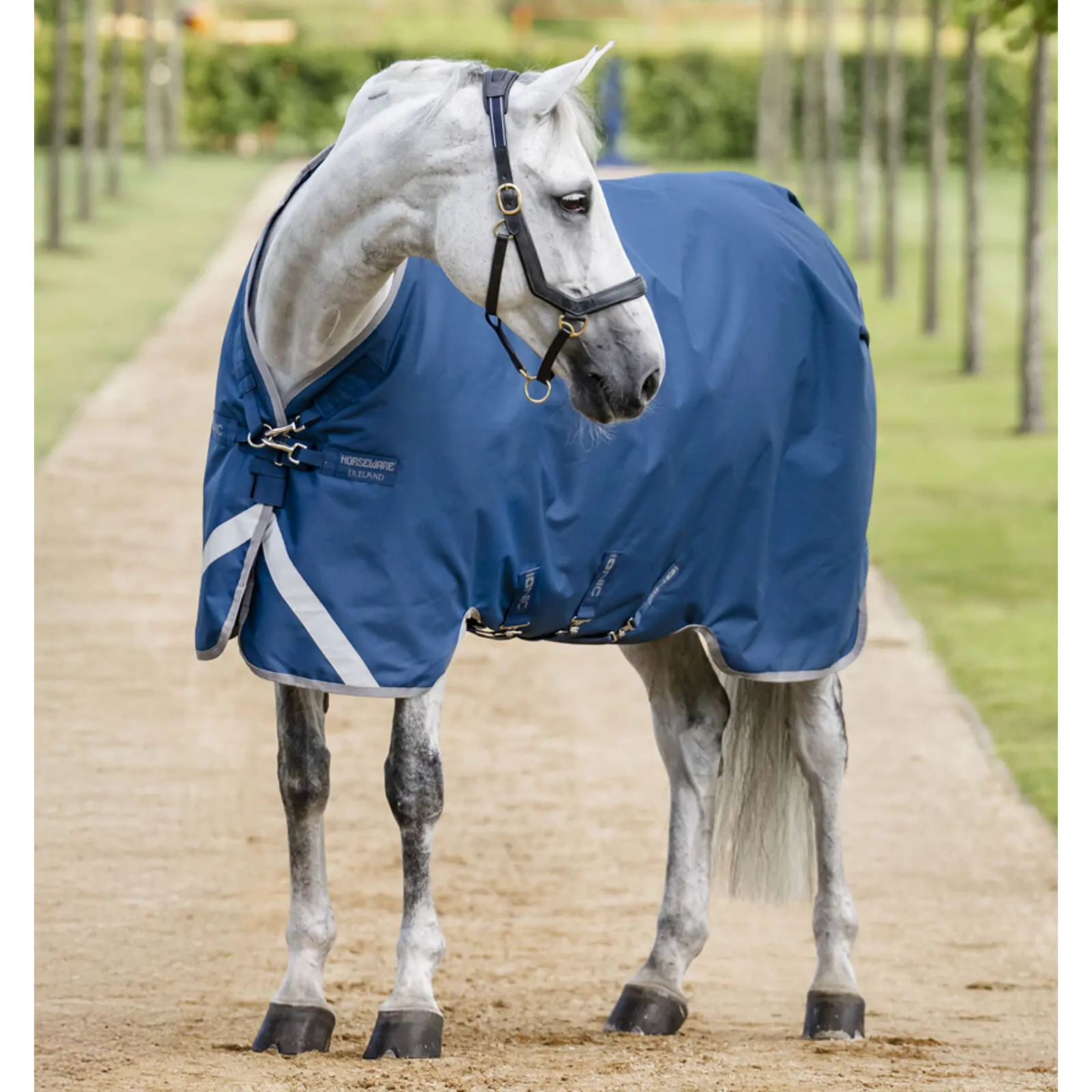 Coperta da paddock per cavalli Horseware Ionic100g