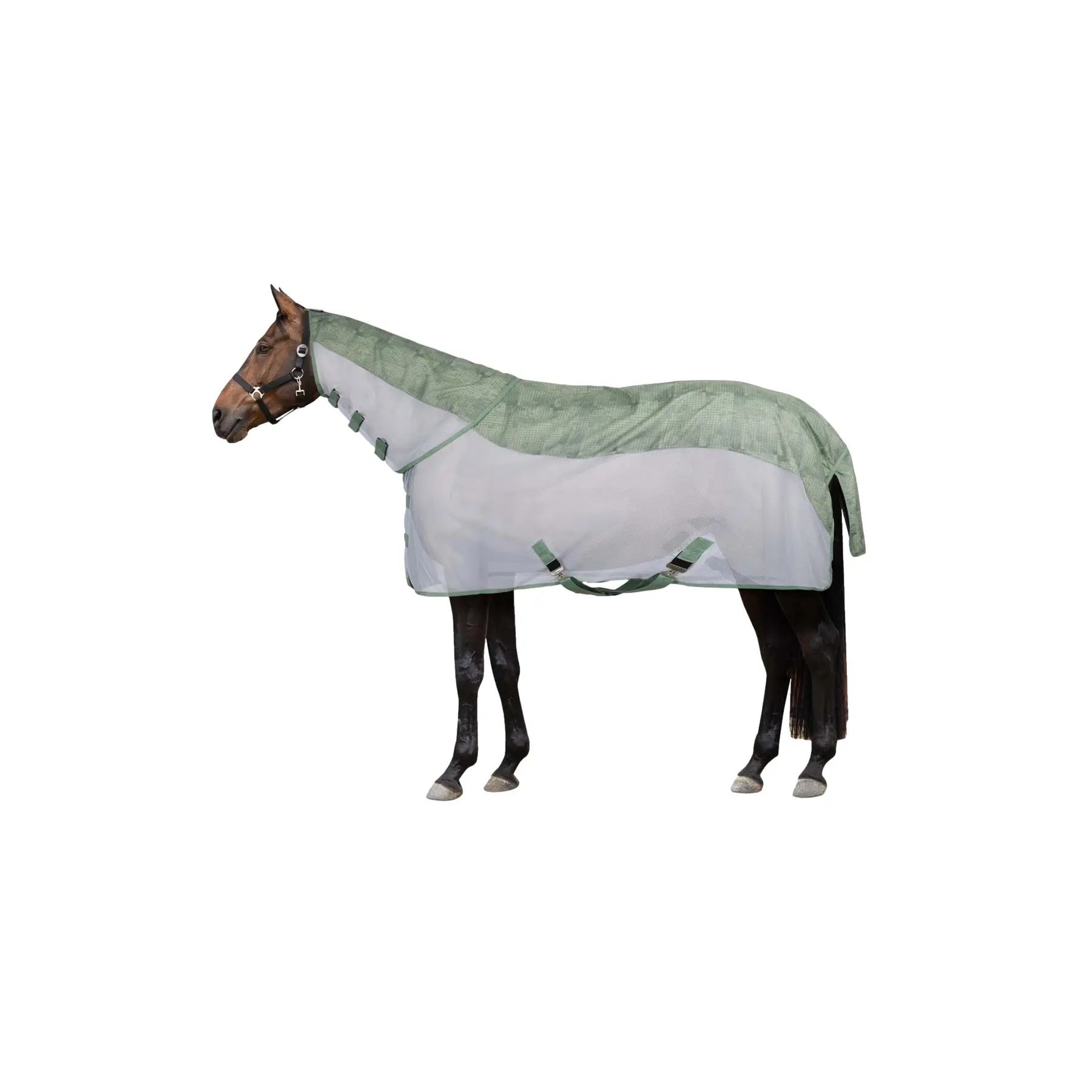 Coperta da esterno per cavallo con collo regolabile Horze Nevada II 200g