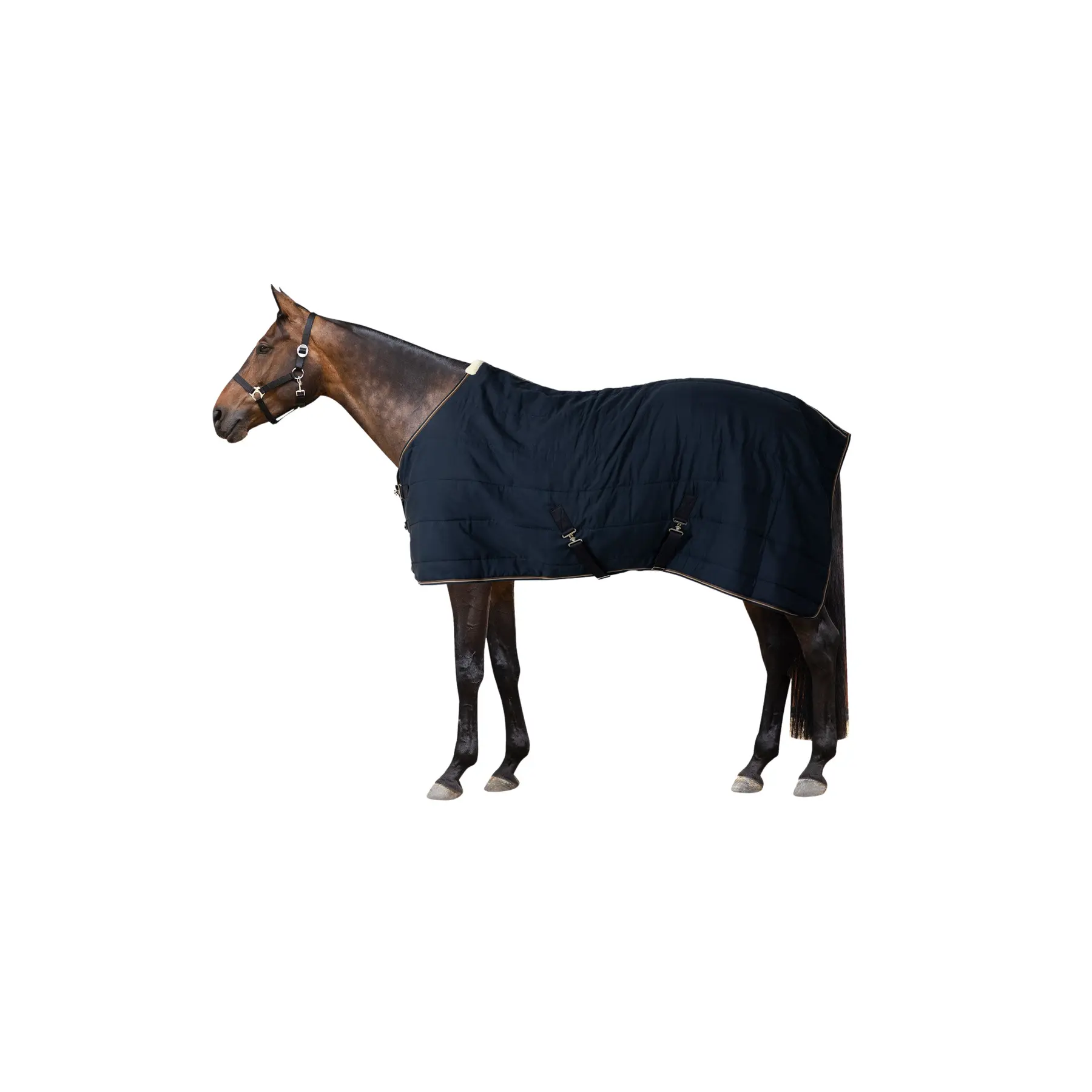 Hobby Horse LeMieux Sogno
