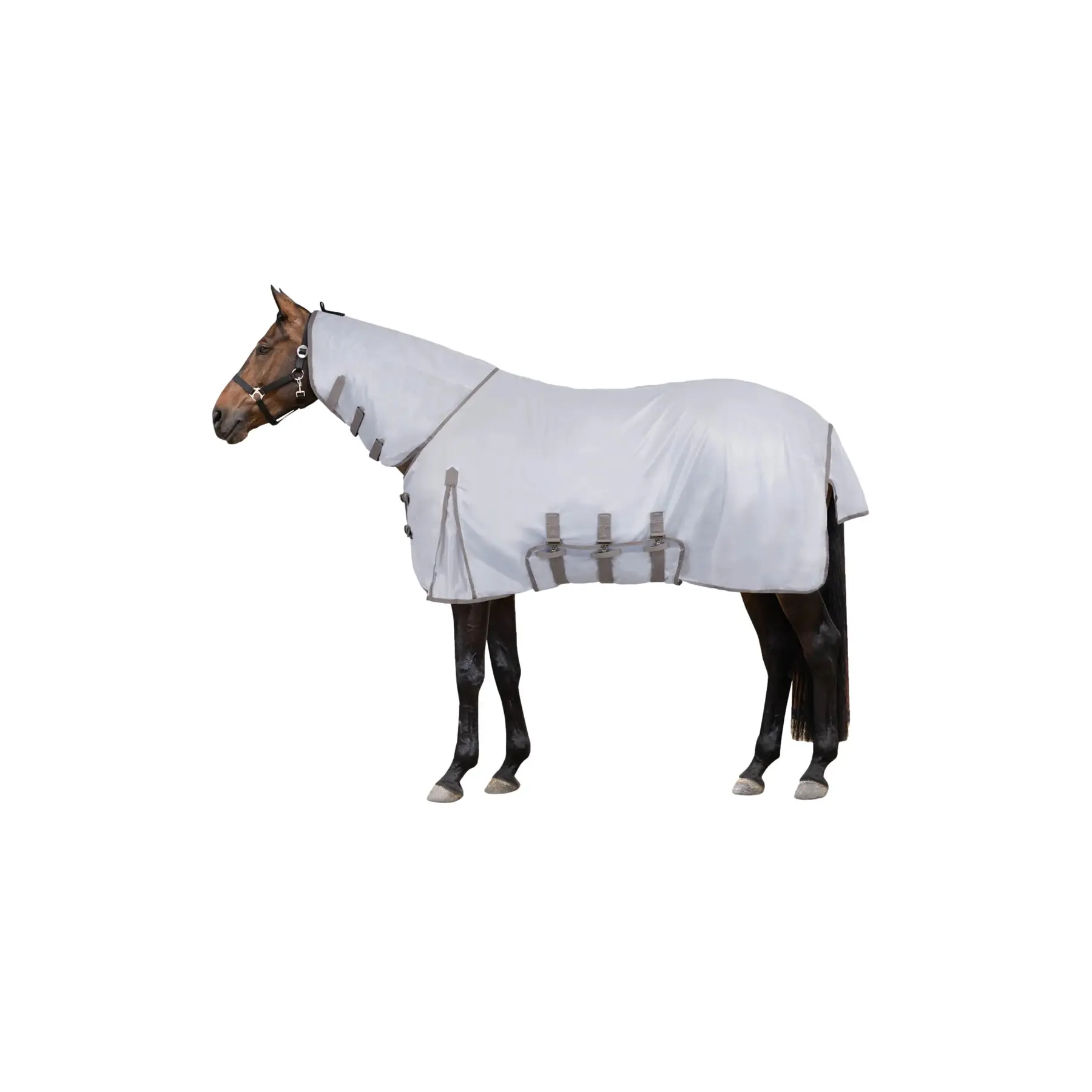 Coperta anti-mosche per cavalli con patta sulla pancia Horze Defender 200g