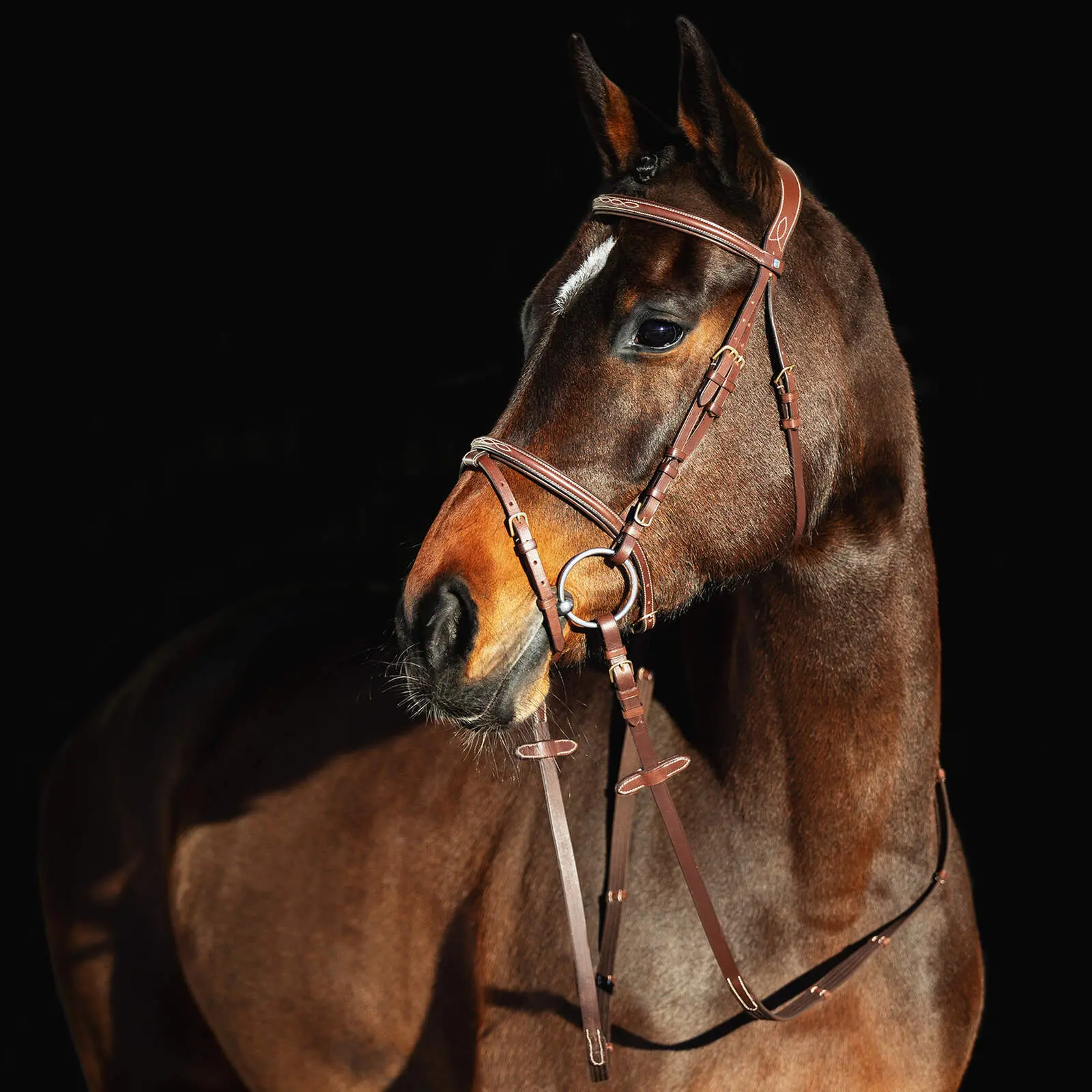 Briglie per cavalli con nasello imbottito Horze Constance