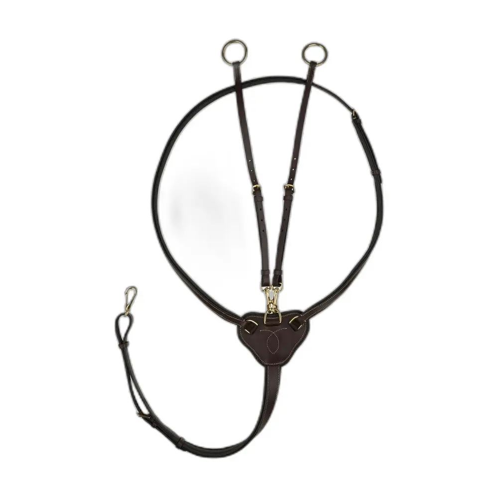 Martingale with rings Horze Winchmore