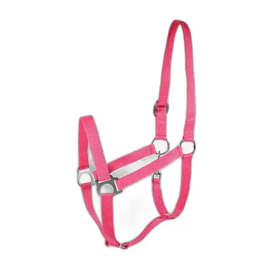 Basic horse halter Horze