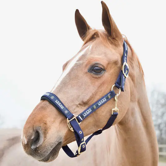 Halter for horse Horze Hamptons