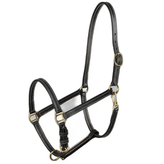 Halter for horse Horze Fremont