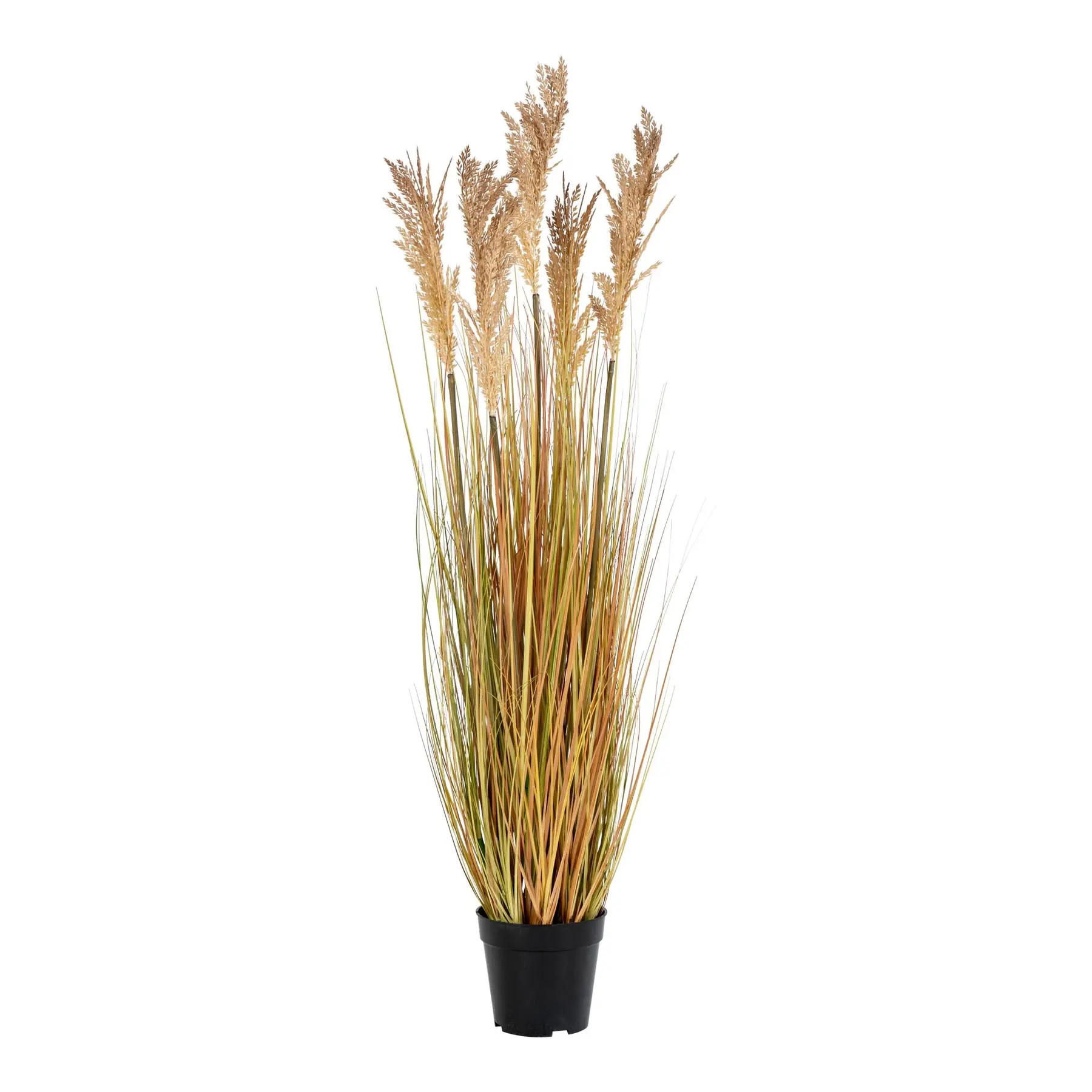 Plante artificielle House Nordic Sorghum