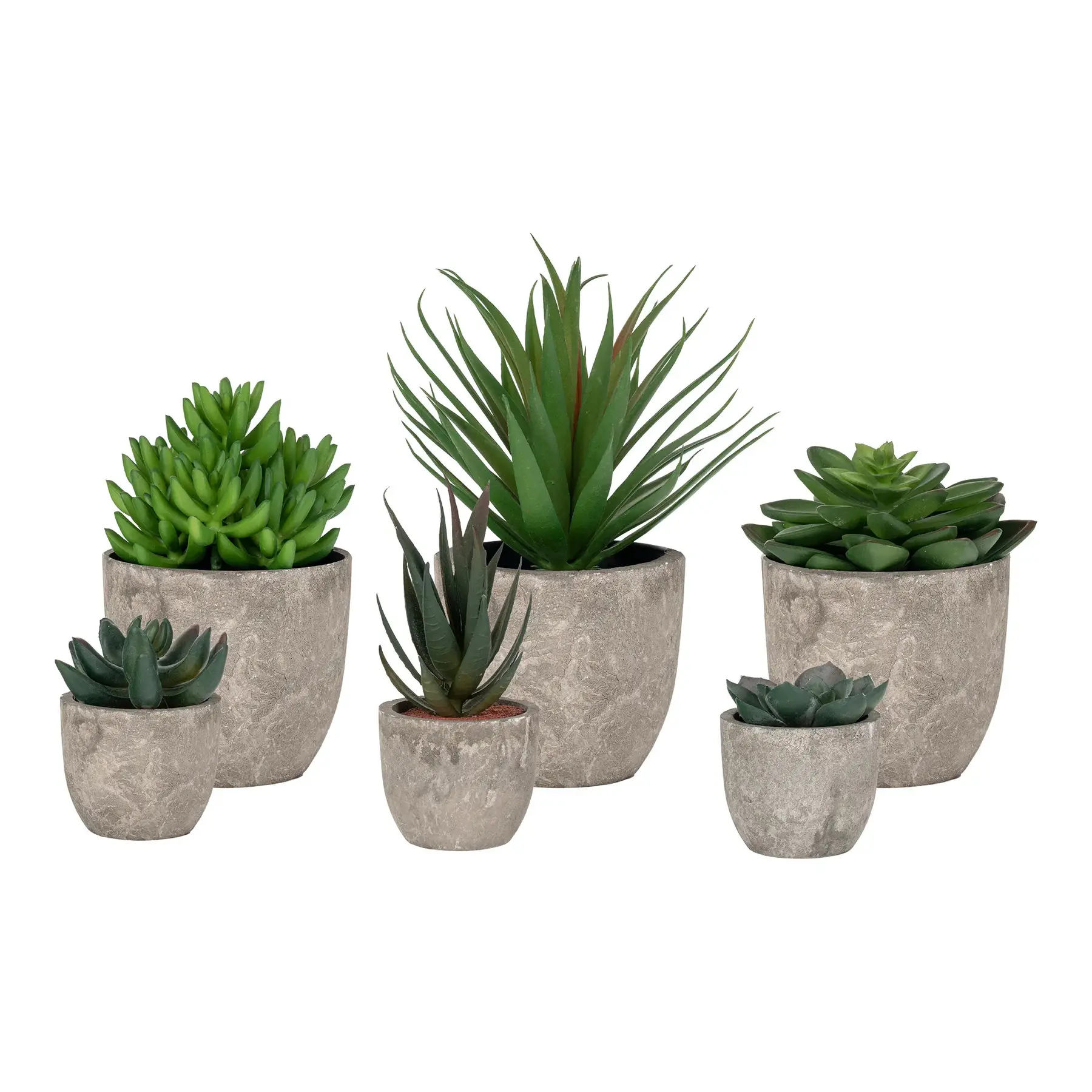 Blumen House Nordic Spello (x150)