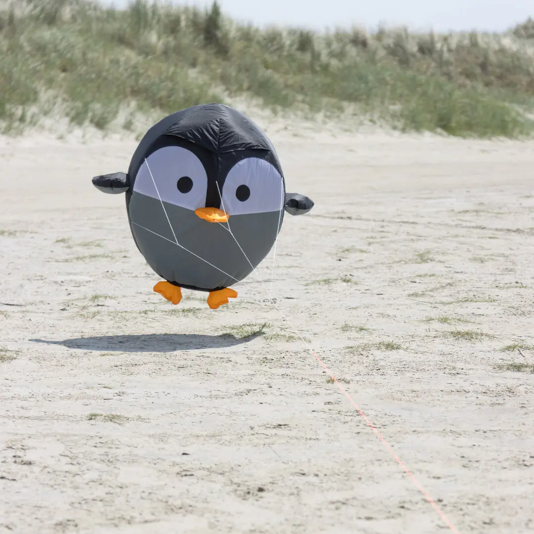 Pinguin-Wetterfahne HQ Kites Birdeez